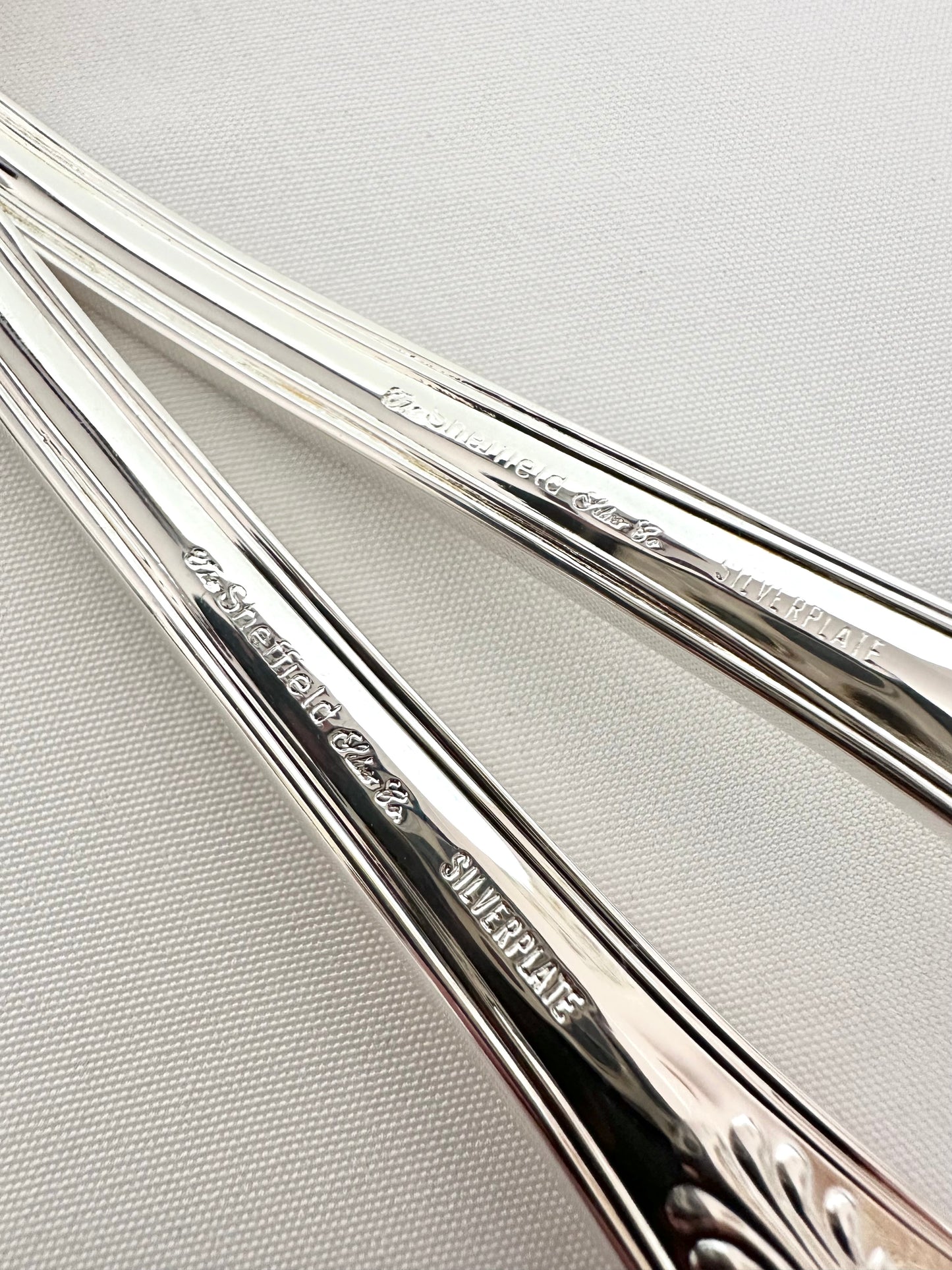 Livia Shell Serving Set