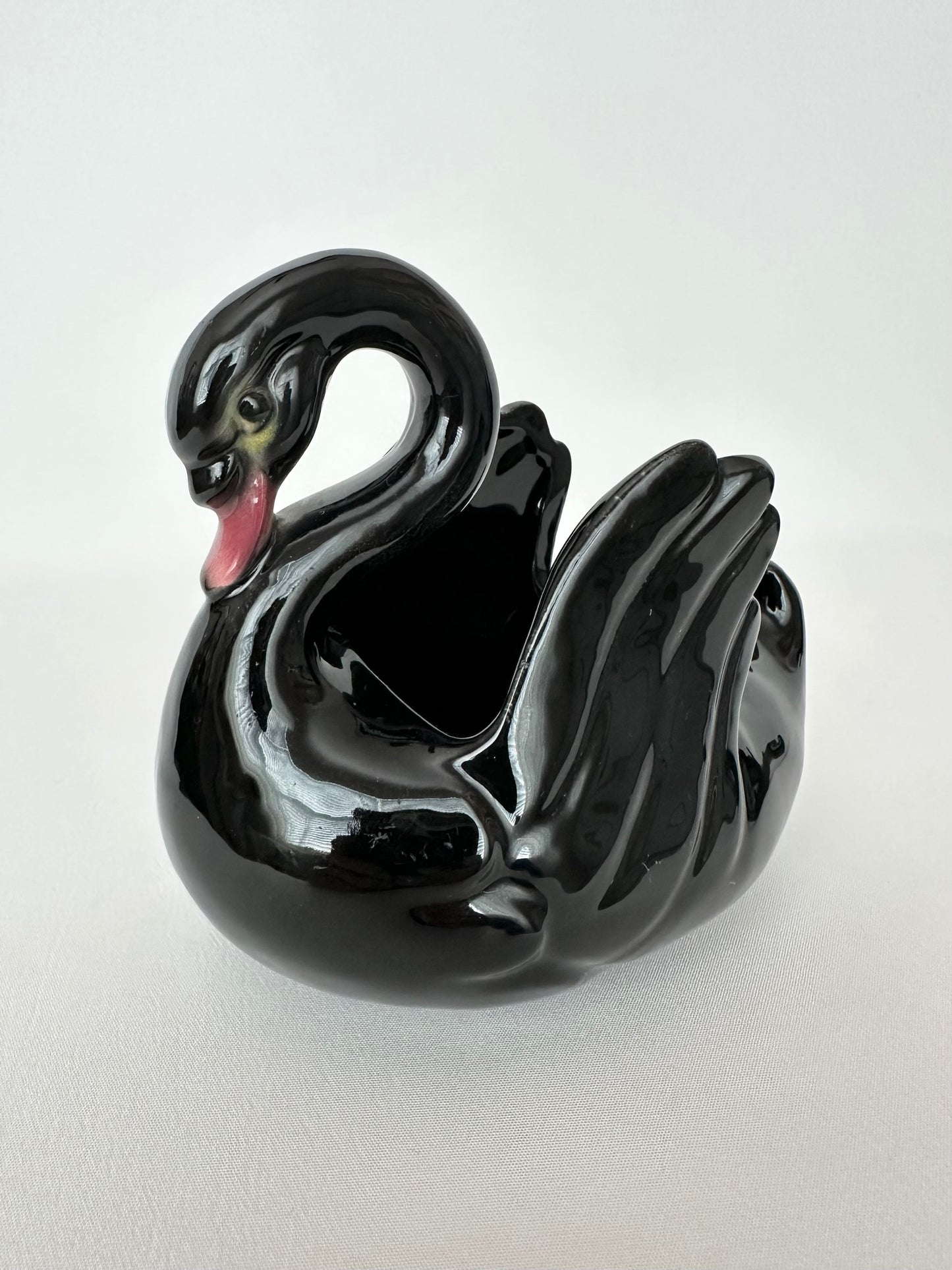 Raven Swan Pair