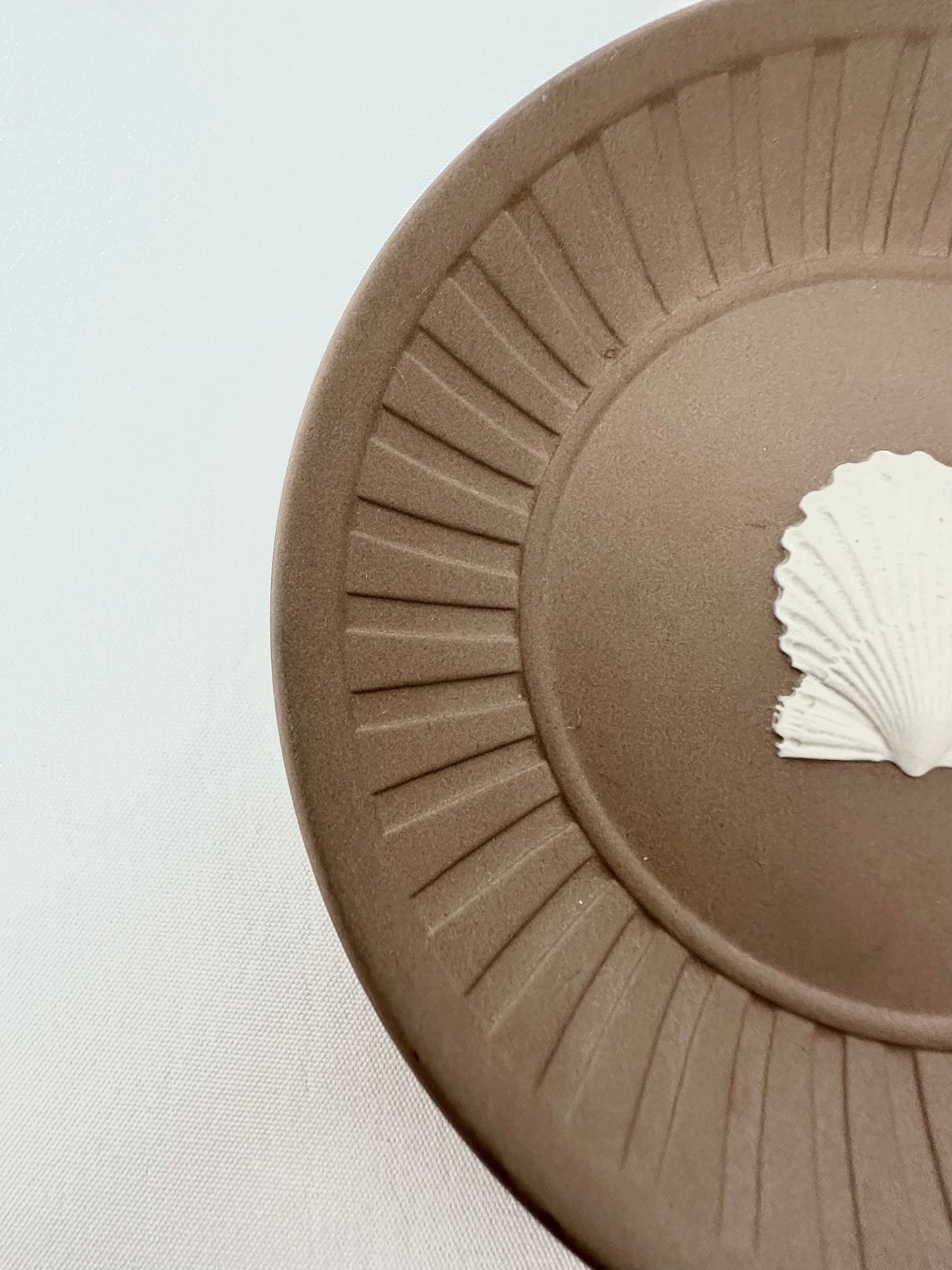 Paola Shell Trinket Dish