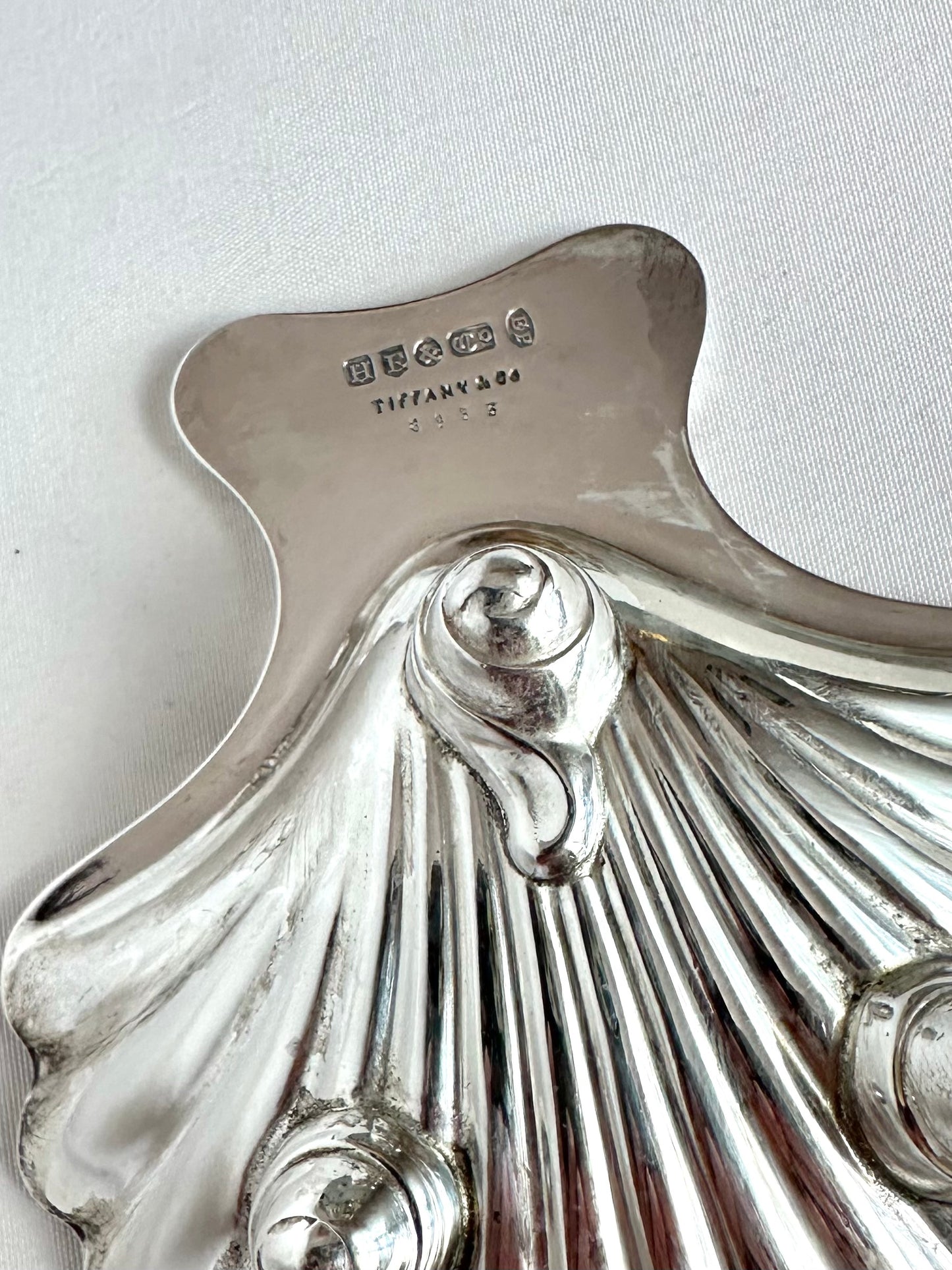 Signature Shell 07