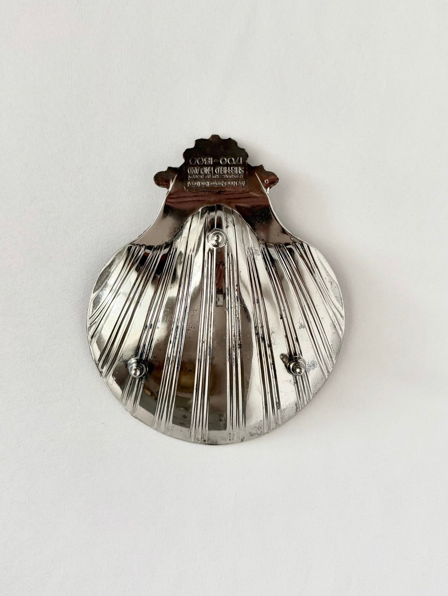Signature Shell 02