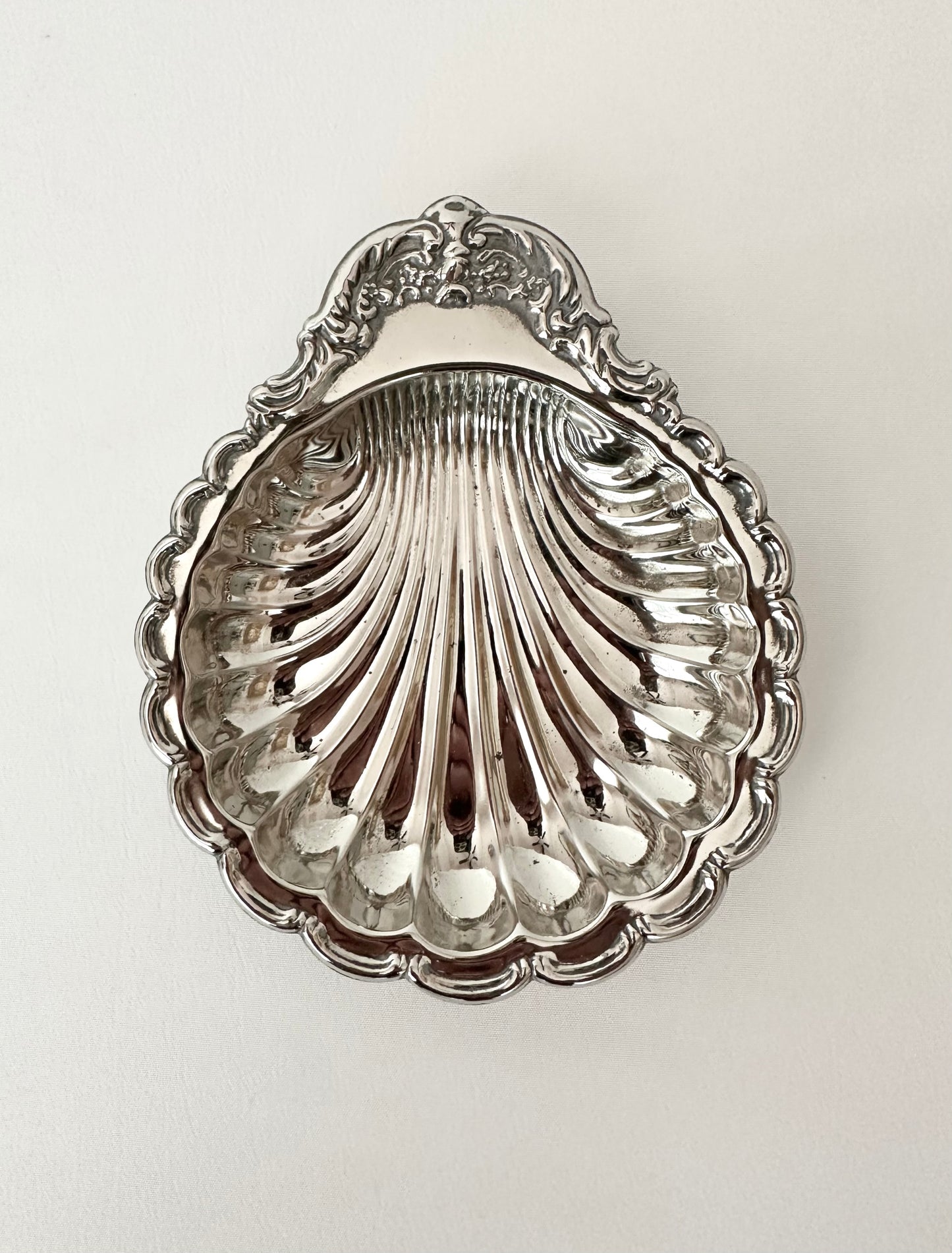Signature Shell 04