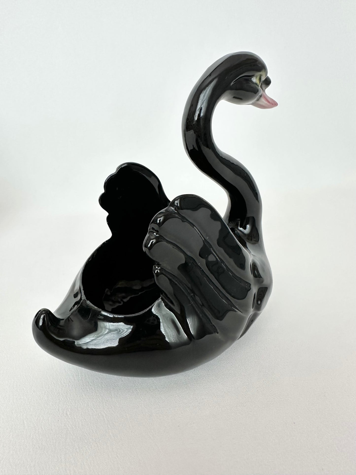 Raven Swan Pair