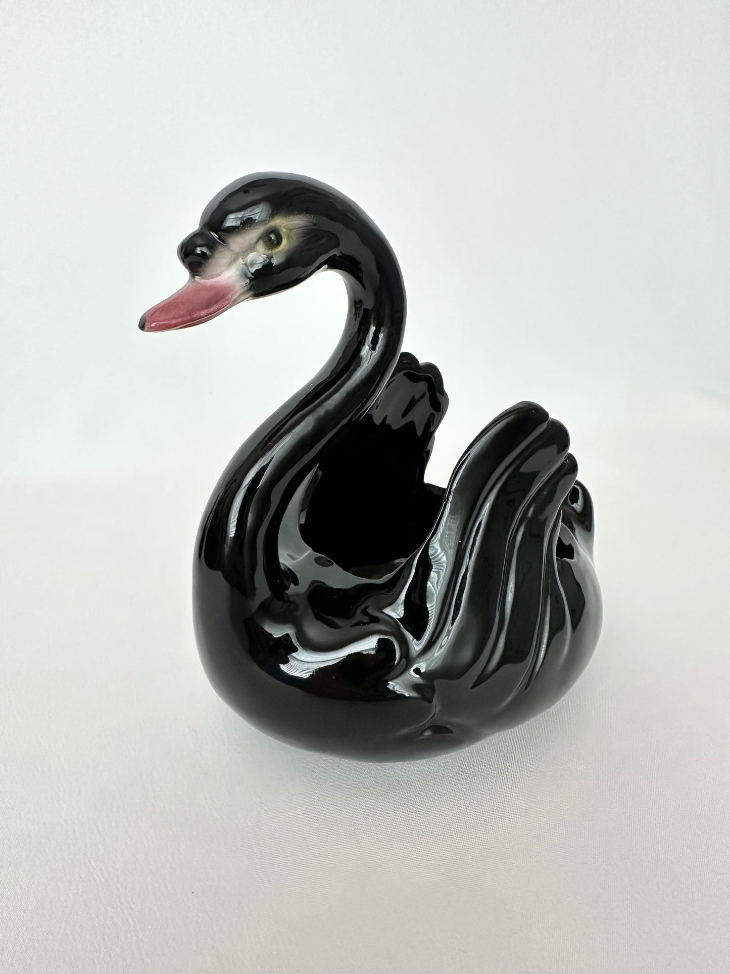 Raven Swan Pair