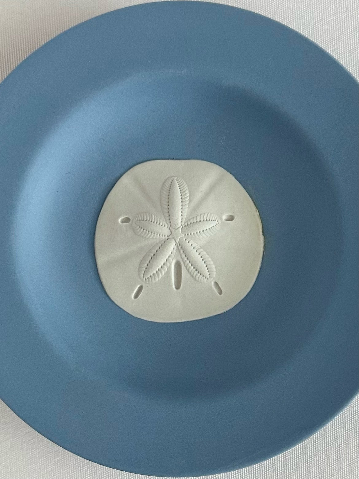 Maeve Sand Dollar Trinket Dish