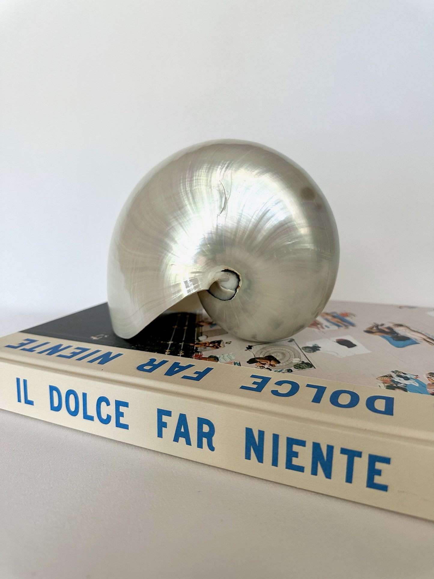 Pearline Chambered Nautilus Shell