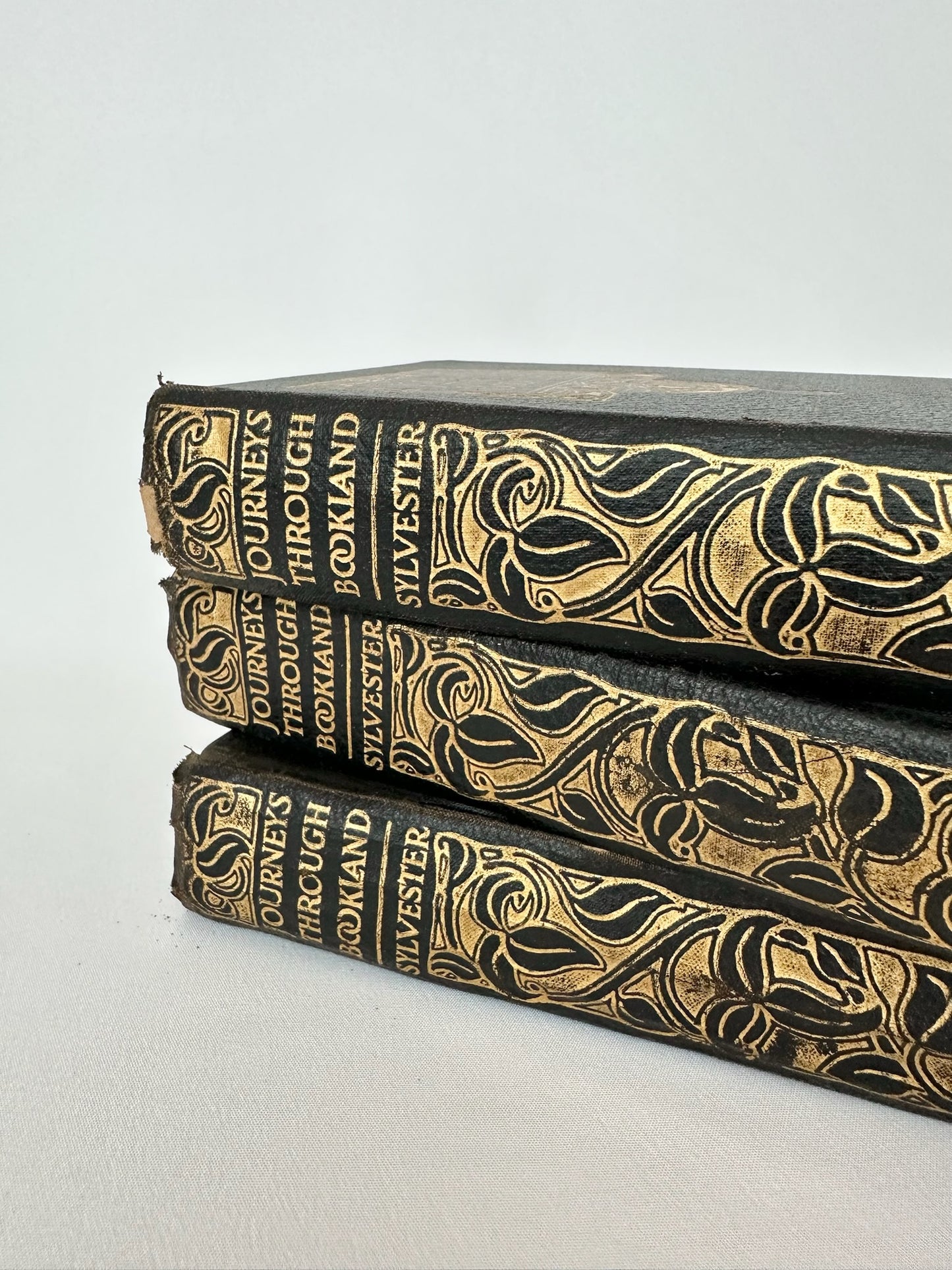 Black Color Story Book Trio