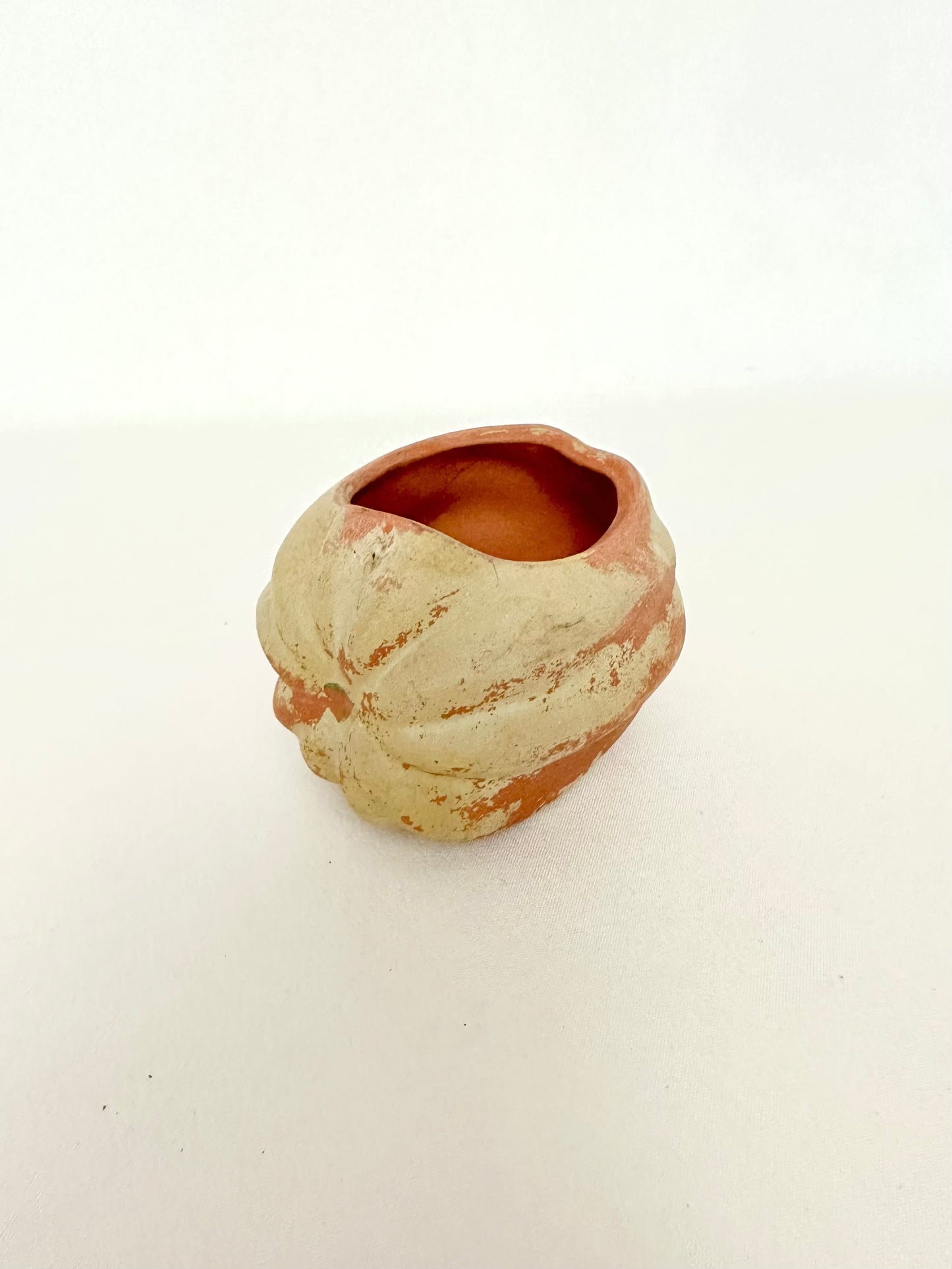 Harvest Vegetable Planters