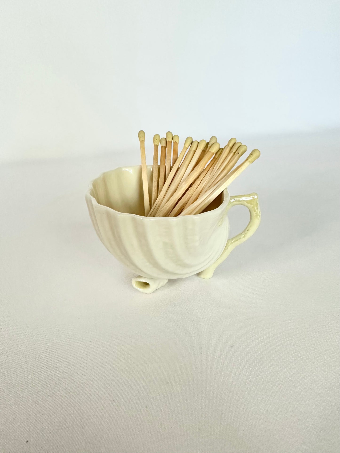 Anemone Shell Matchstick Vessel