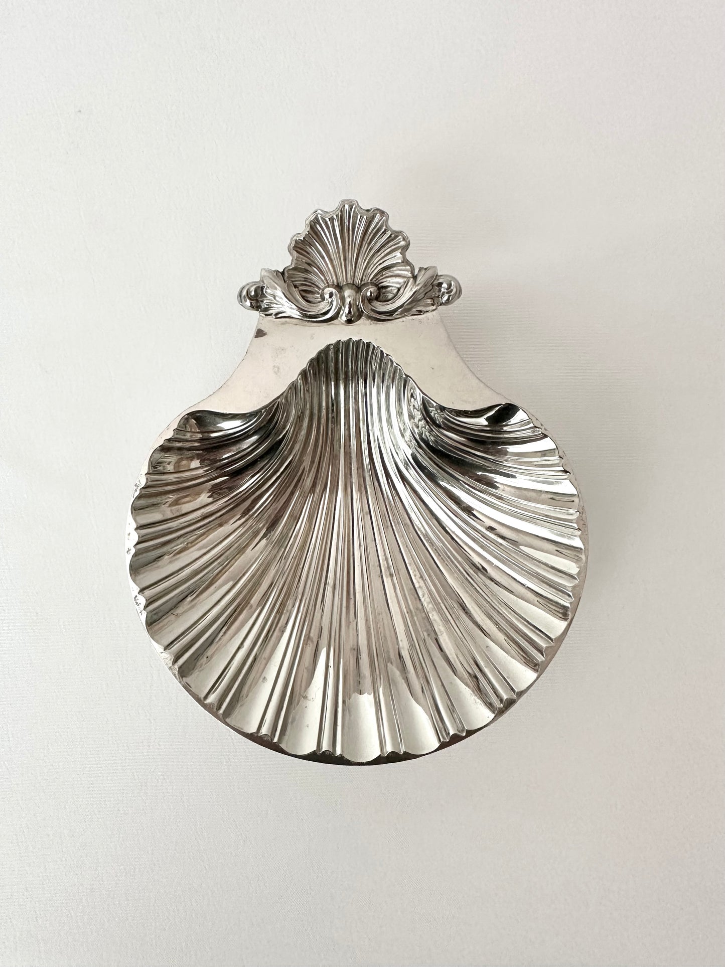 Signature Shell 02