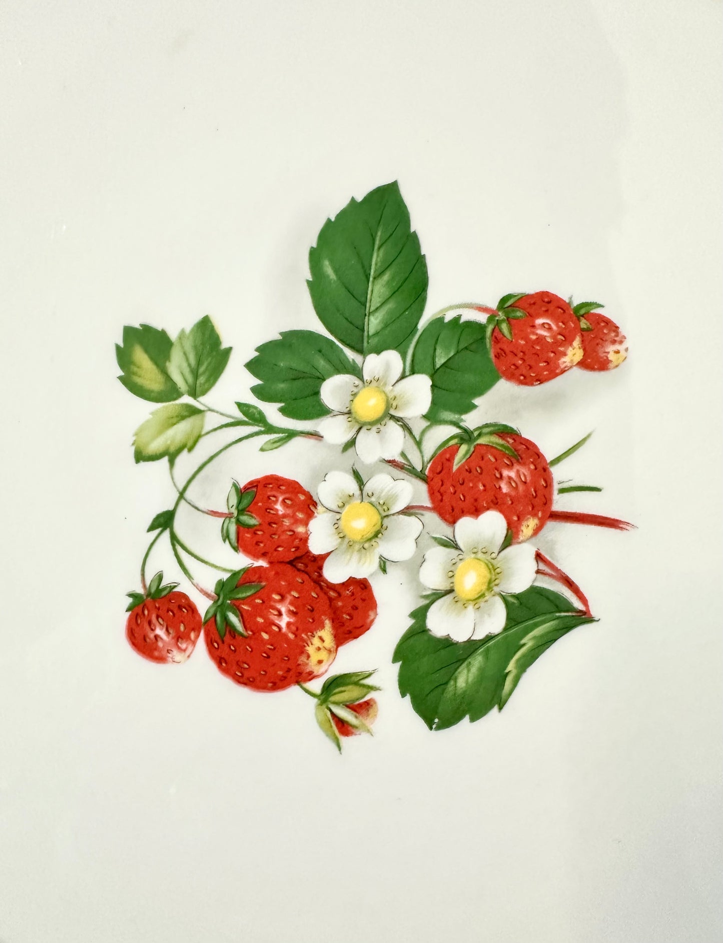 Tansy Strawberry Platter