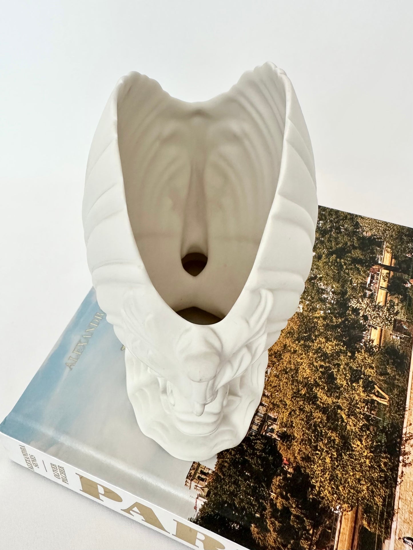 Michelina Shell Vase