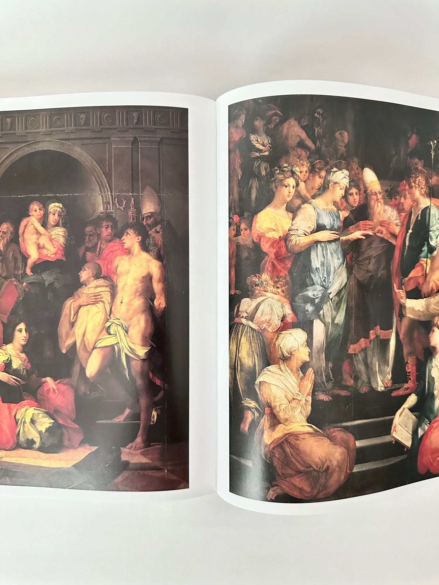 Italian Renaissance Painting Book