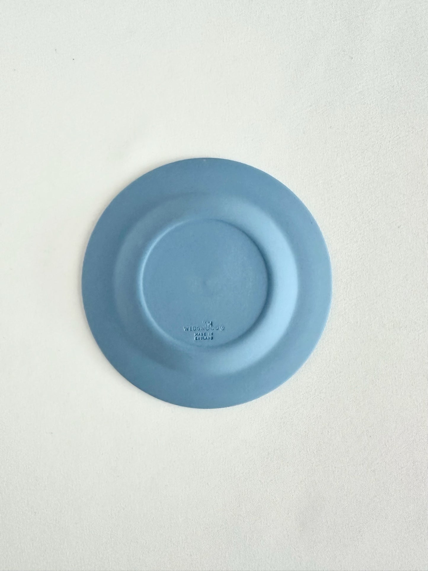 Maeve Sand Dollar Trinket Dish