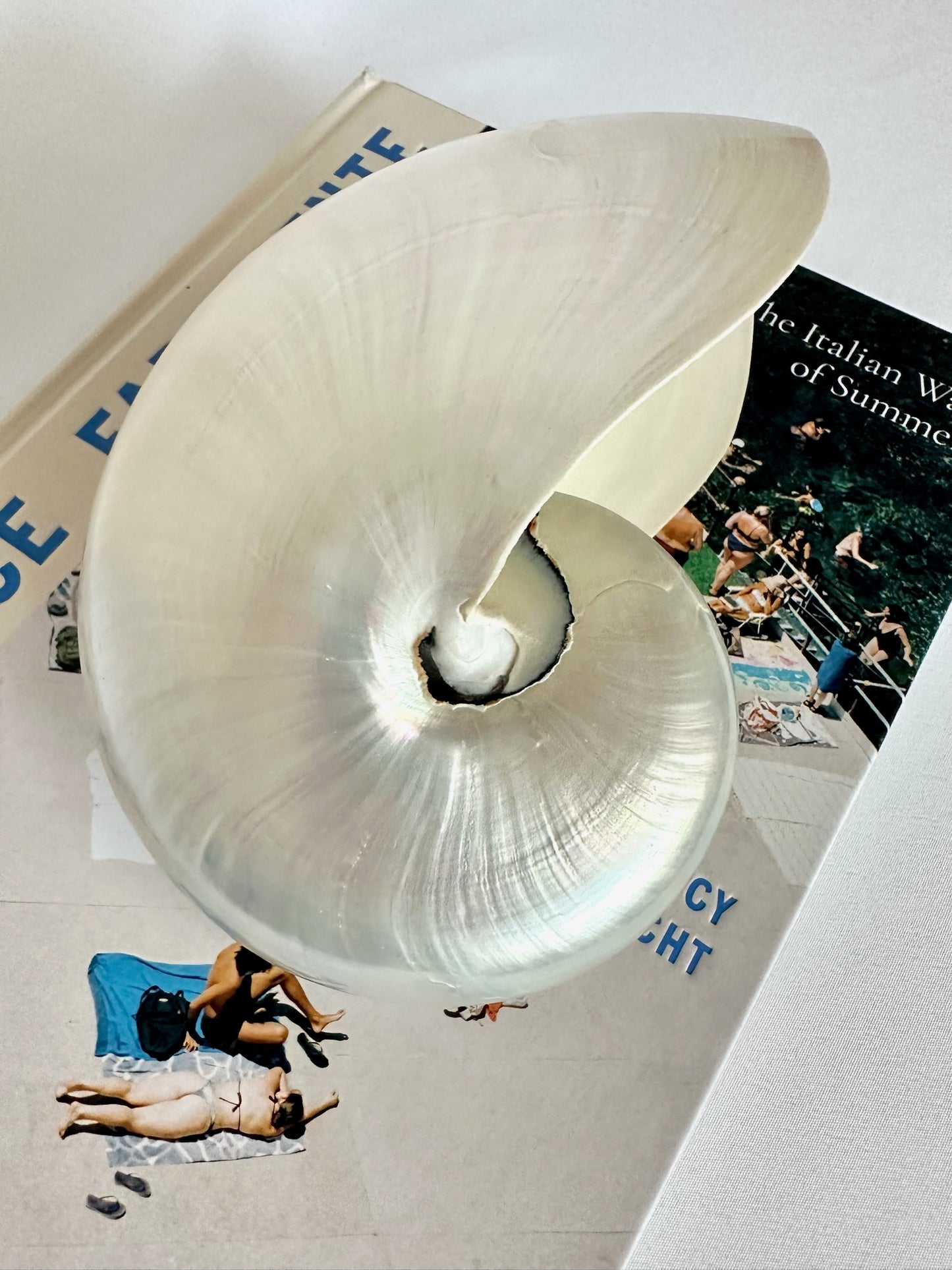 Pearline Chambered Nautilus Shell