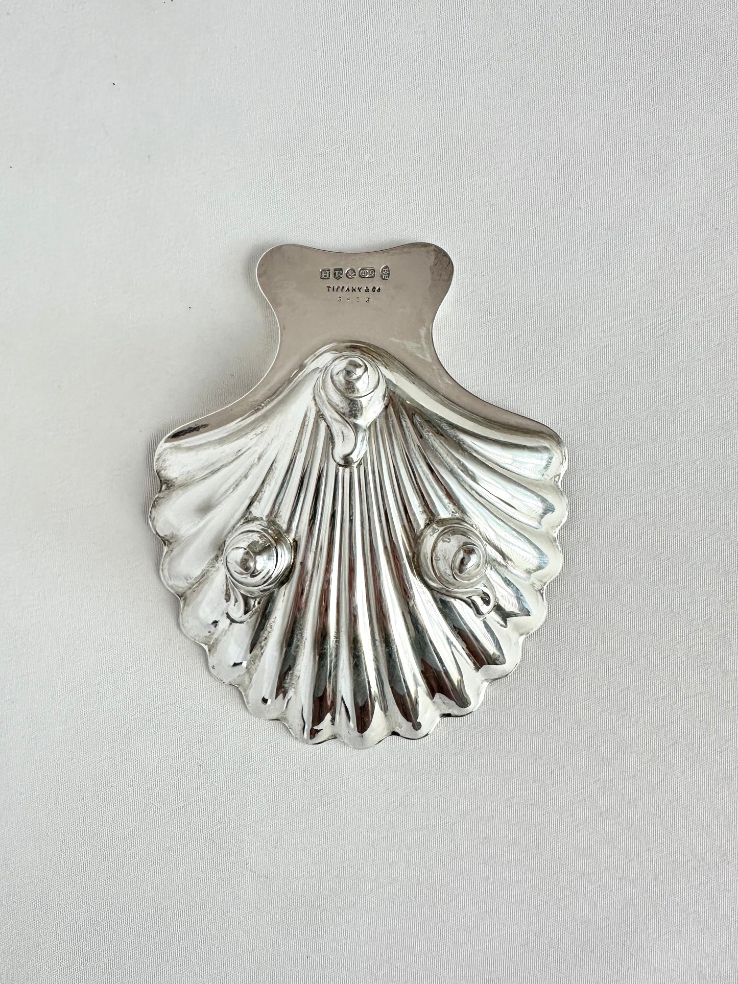 Signature Shell 07