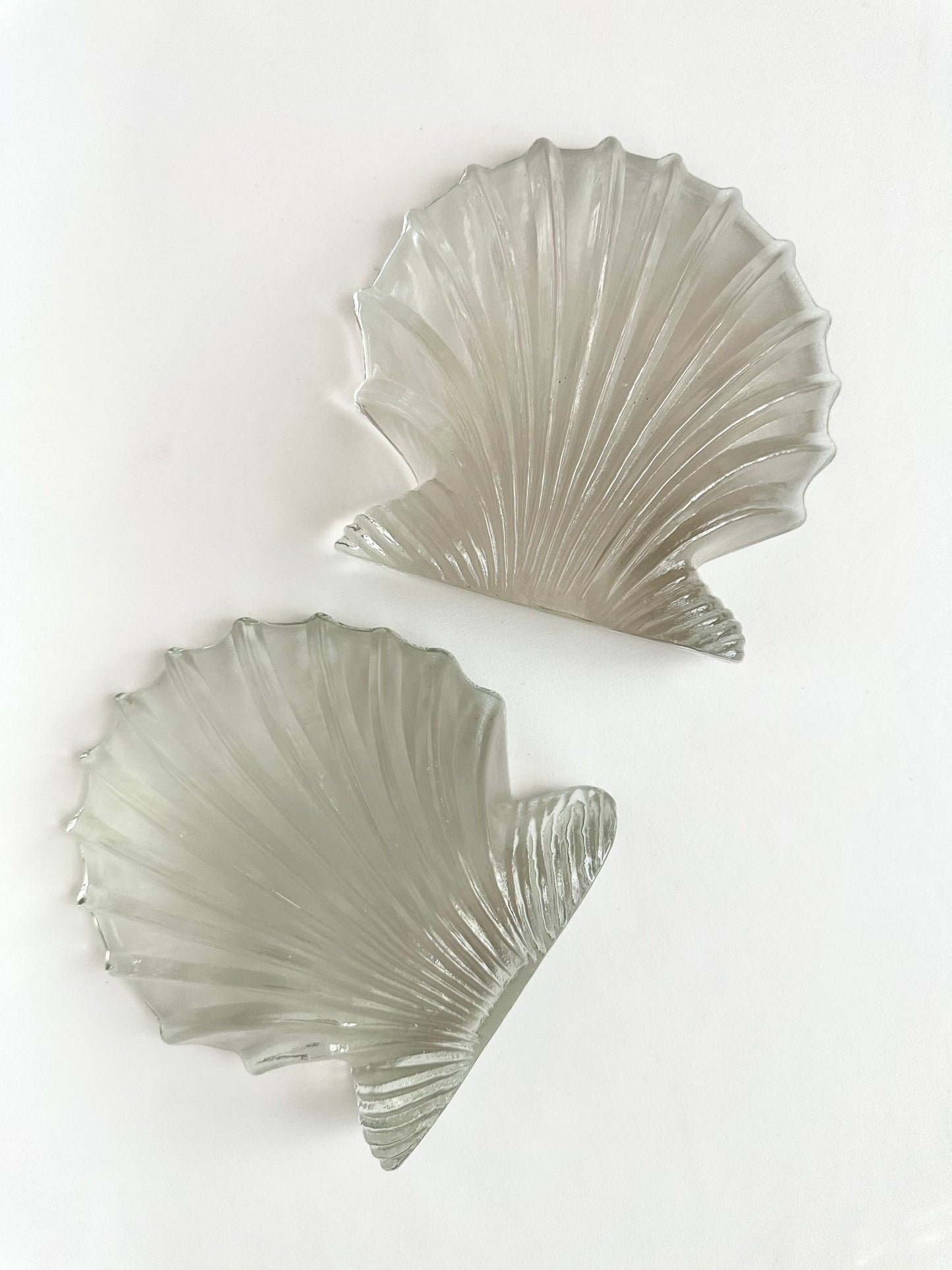 Moana Glass Shell Bookends