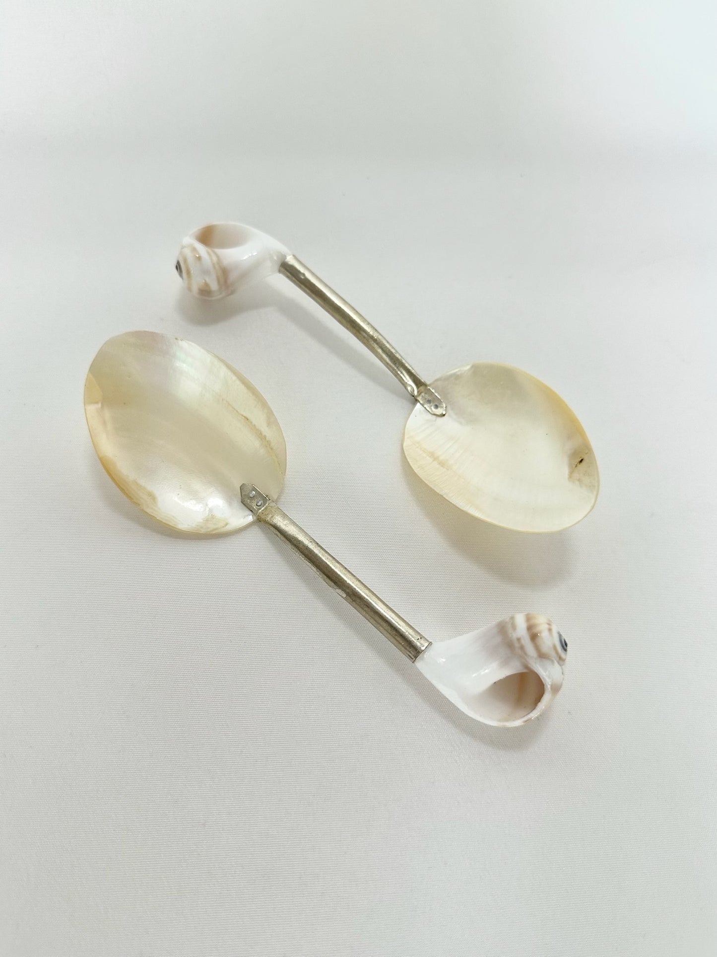 Vintage mother of pearl and seashell caviar spoon