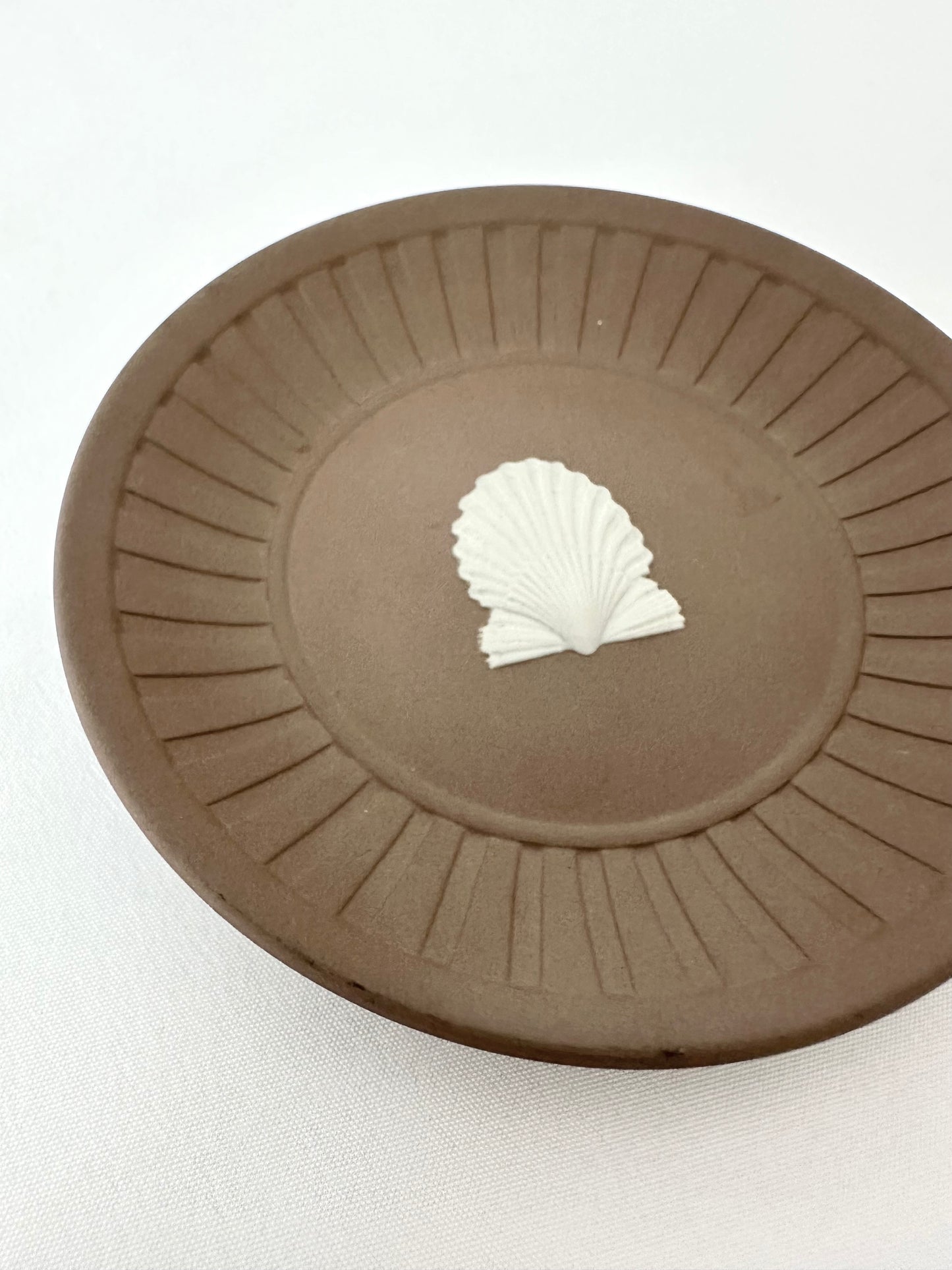 Paola Shell Trinket Dish