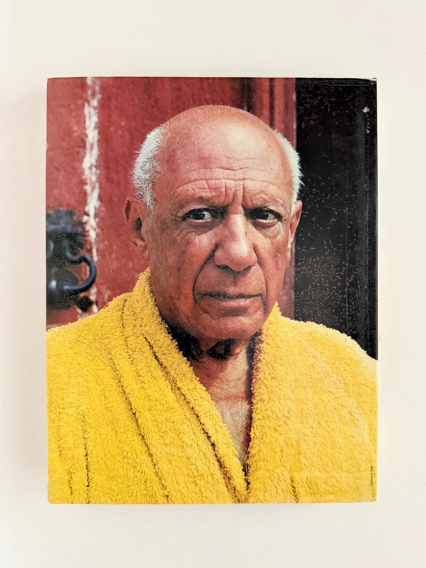 Picasso and Jacqueline Book