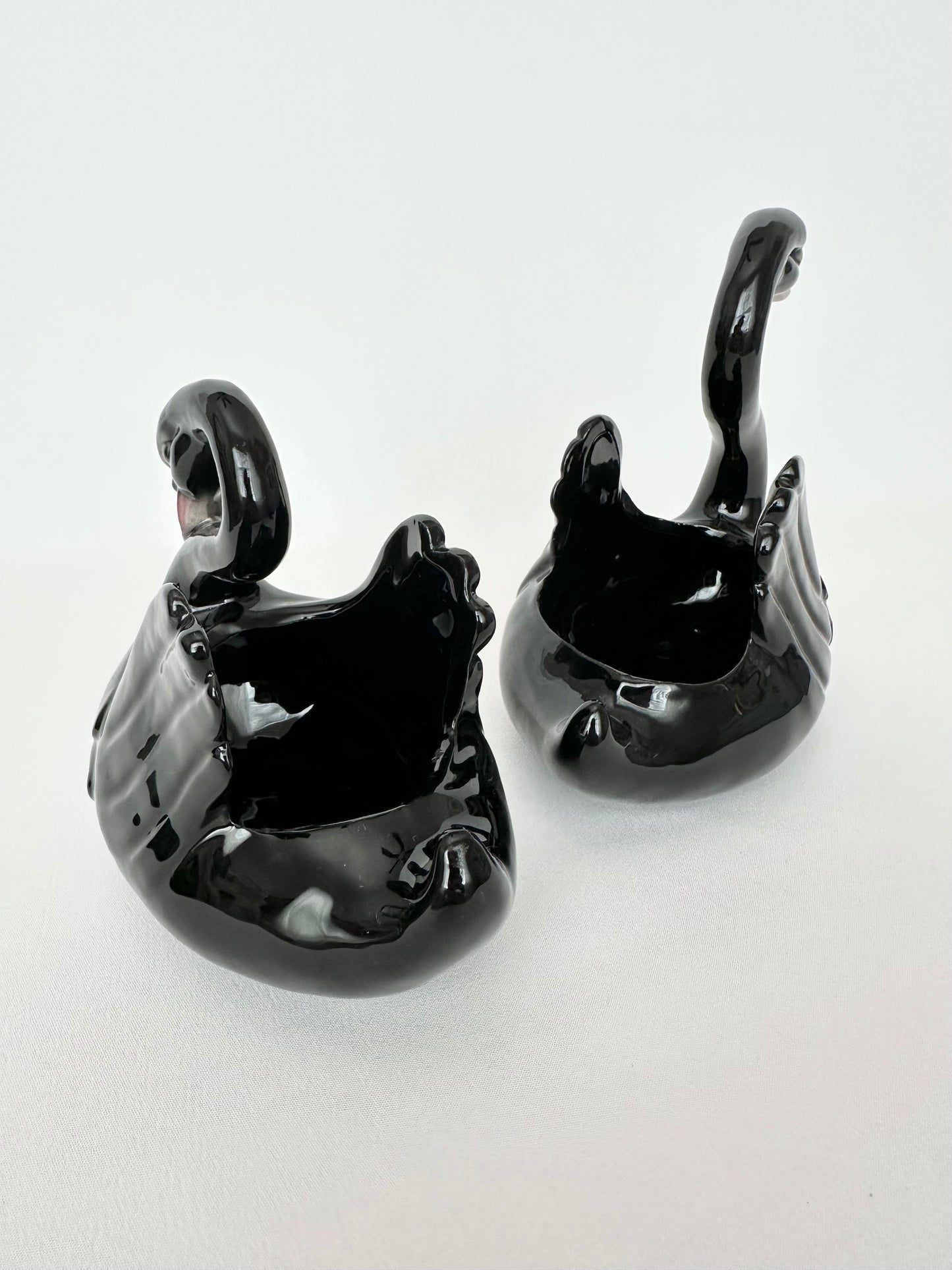 Raven Swan Pair