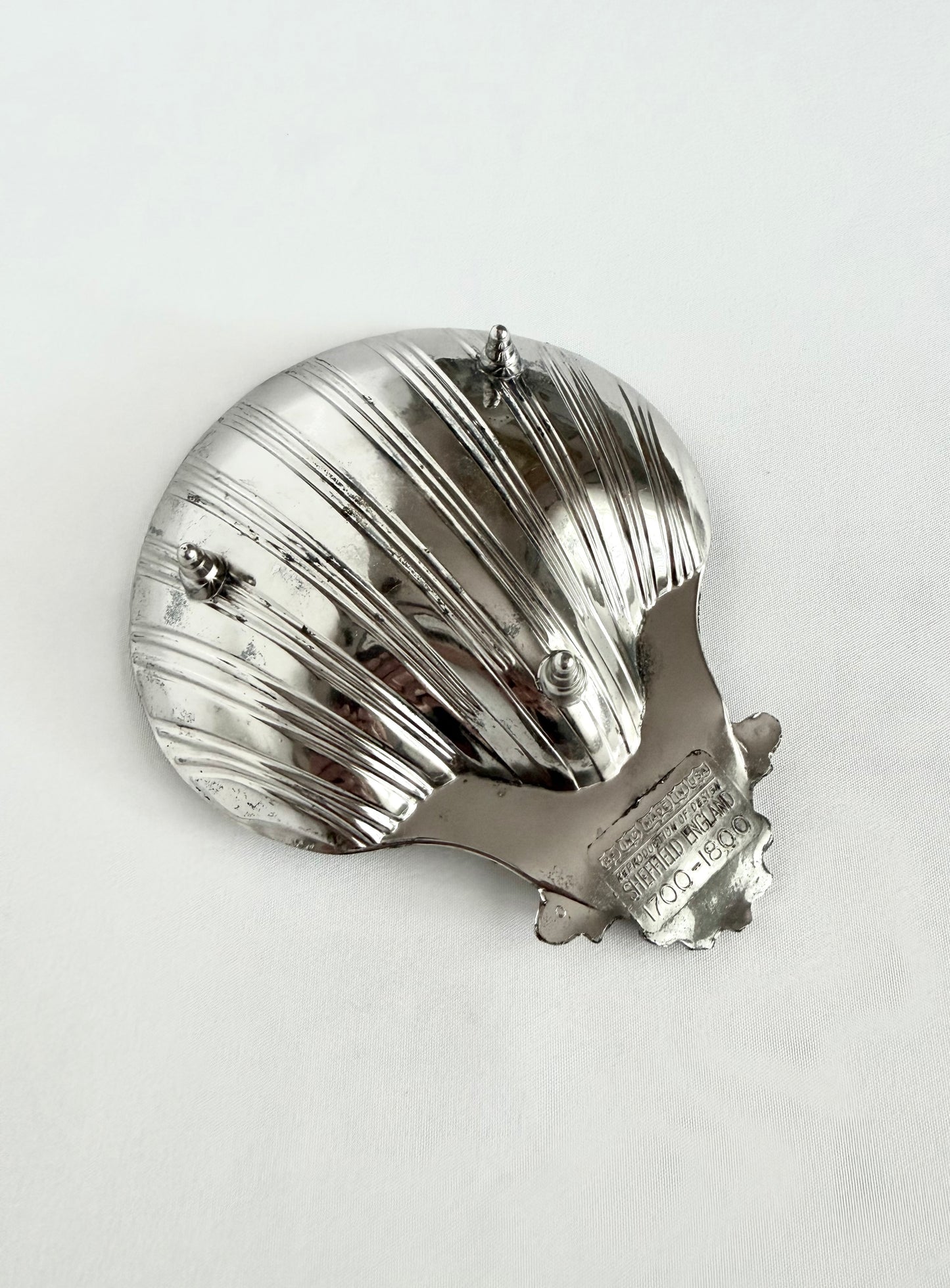 Signature Shell 02