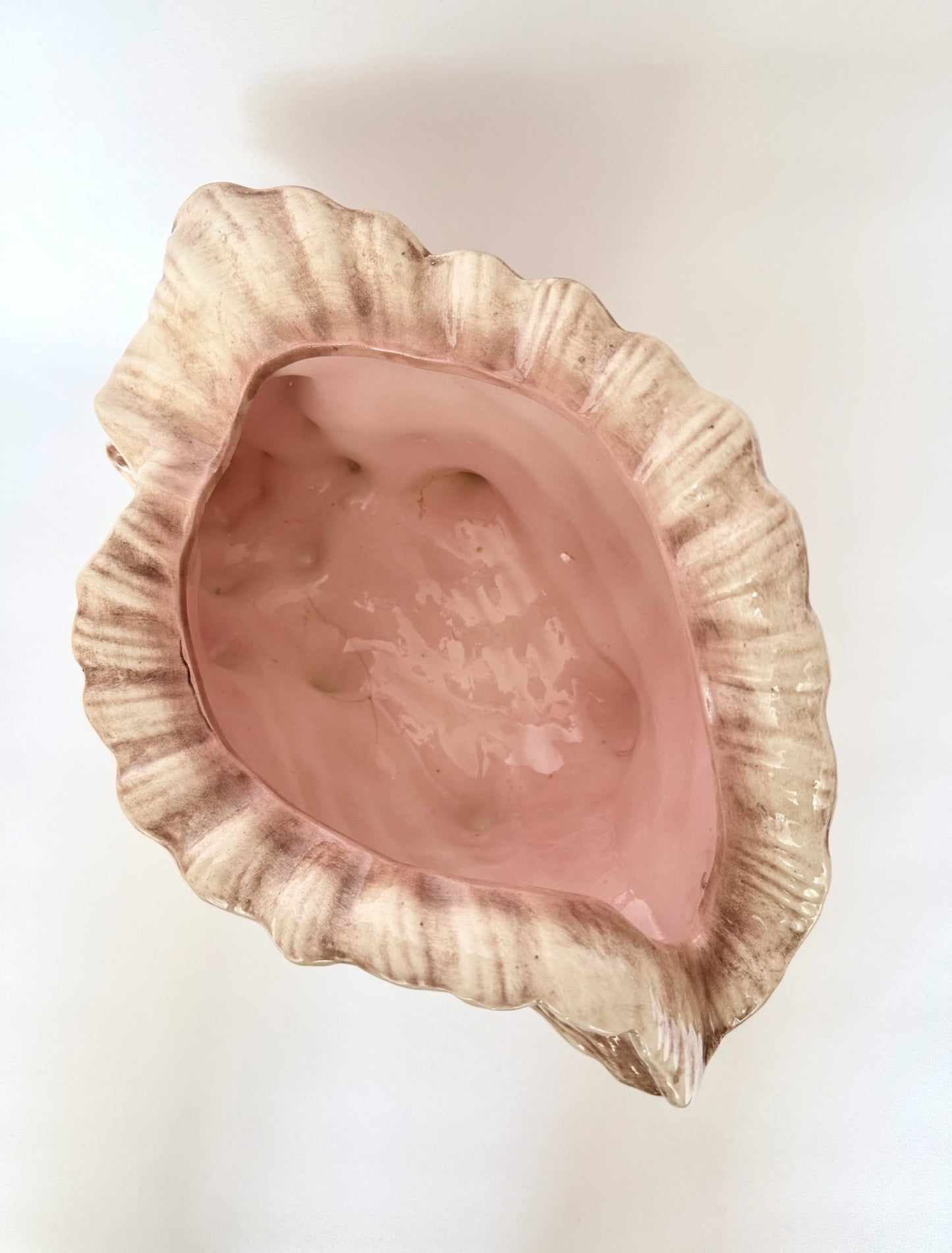 Bahama Conch Planter