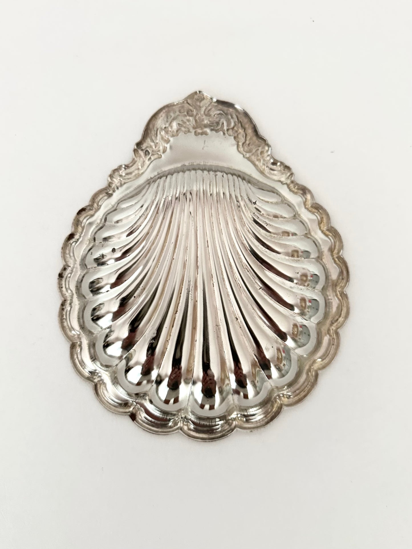 Signature Shell 04