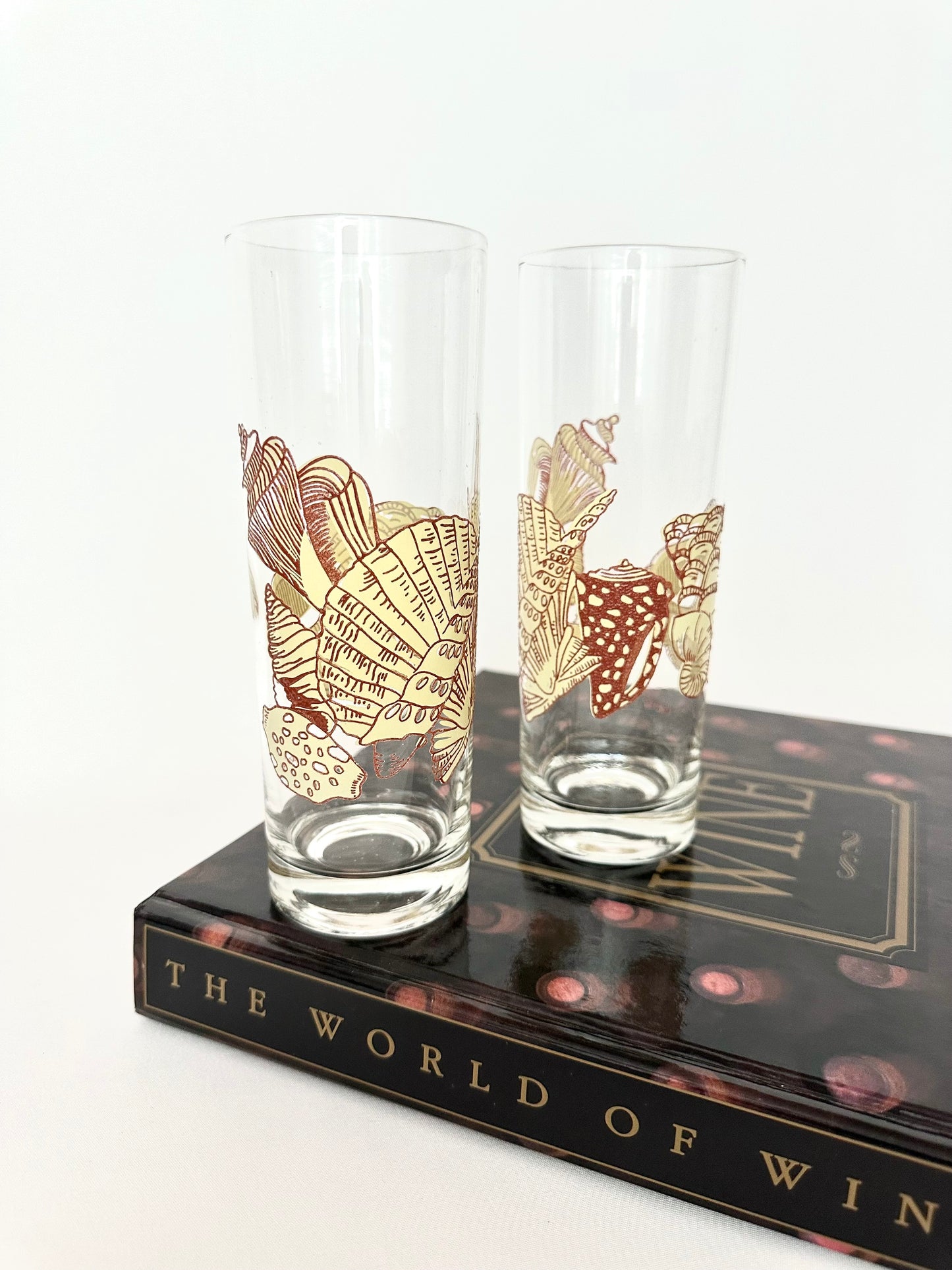 Darya Highball Glasses