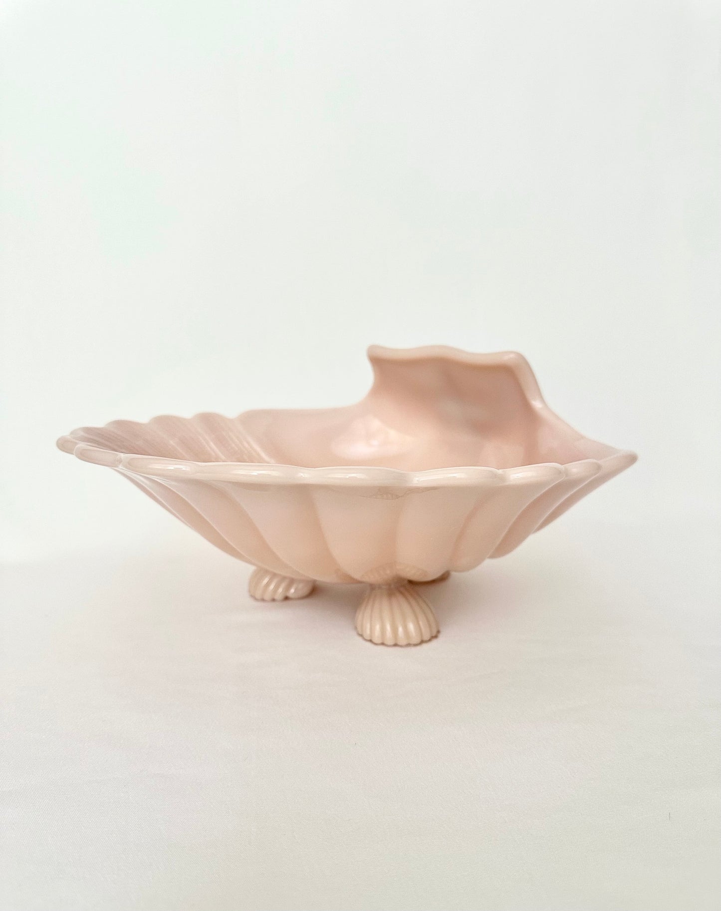 Coralia Shell Bowl