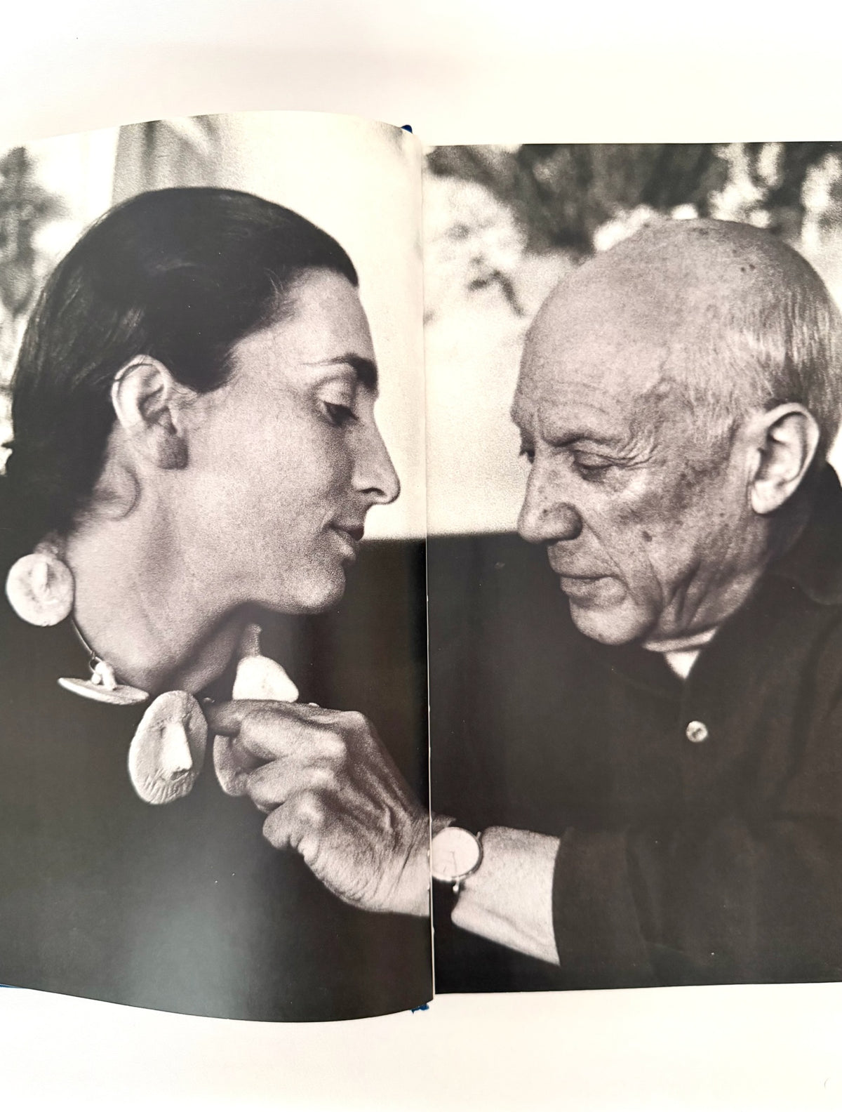 Picasso and Jacqueline Book