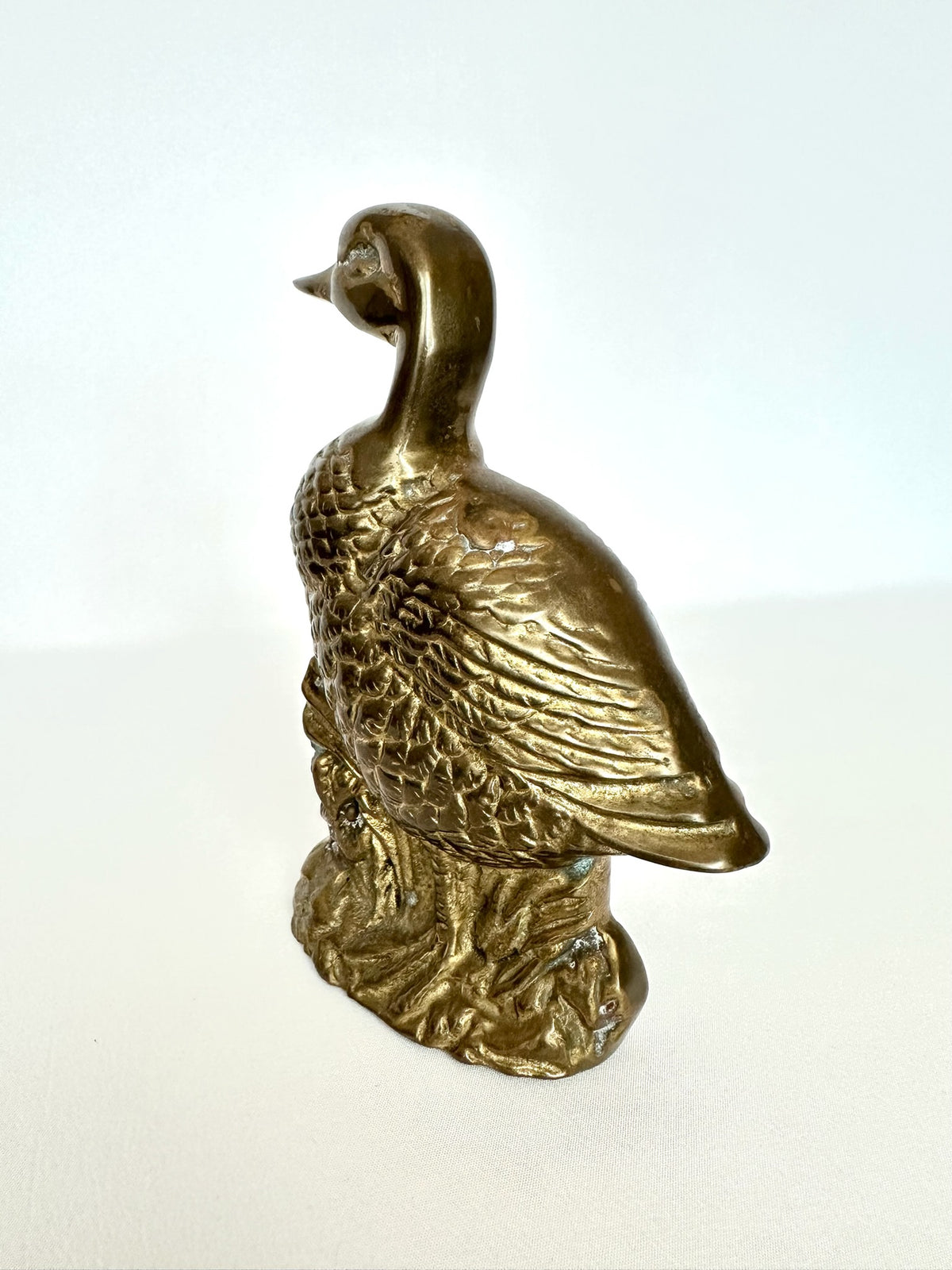 Irving Brass Duck