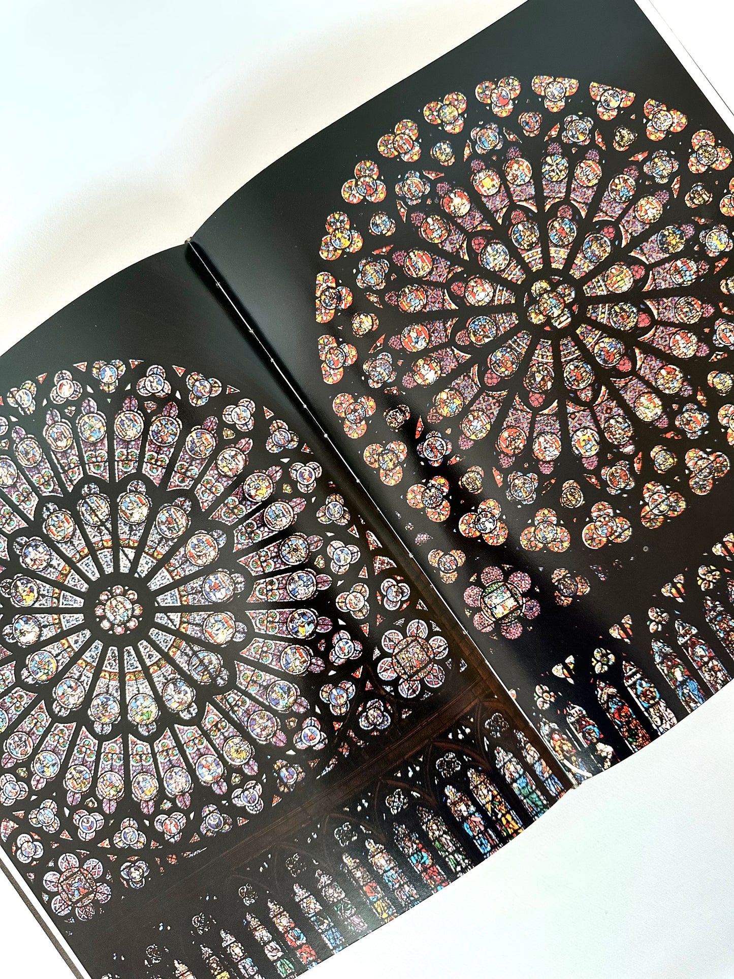 Notre-Dame De Paris Book