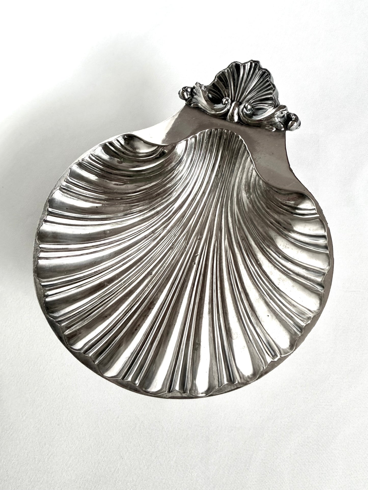 Signature Shell 02