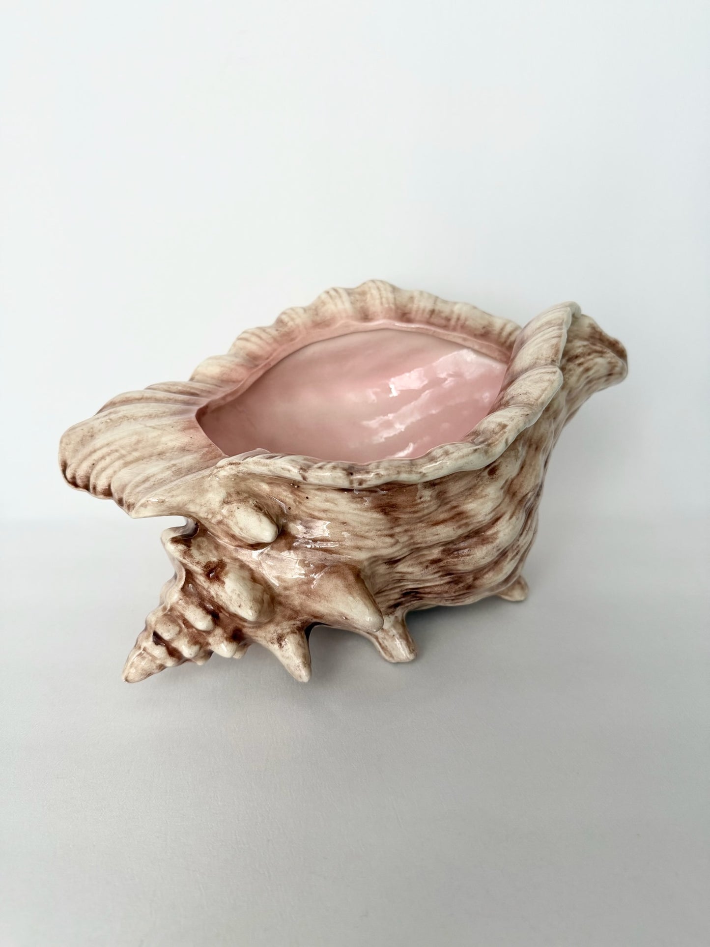 Bahama Conch Planter