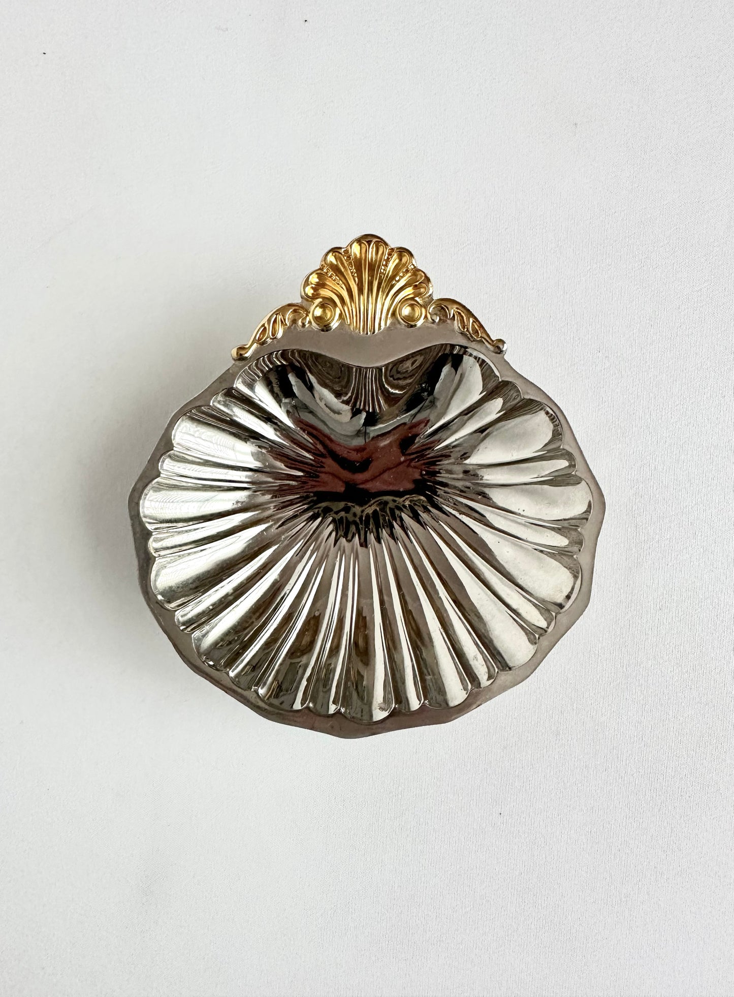 Signature Shell 12