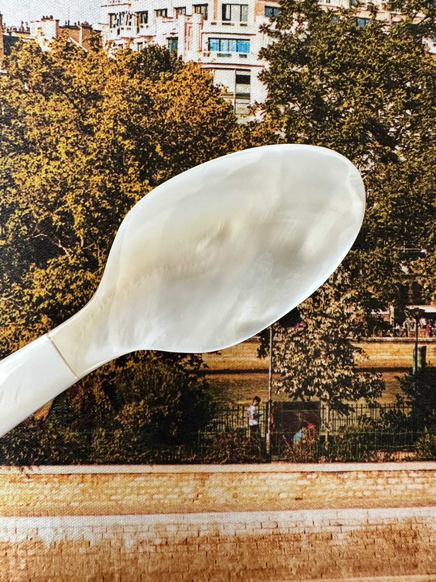 Indie Mother of Pearl Caviar Spoon