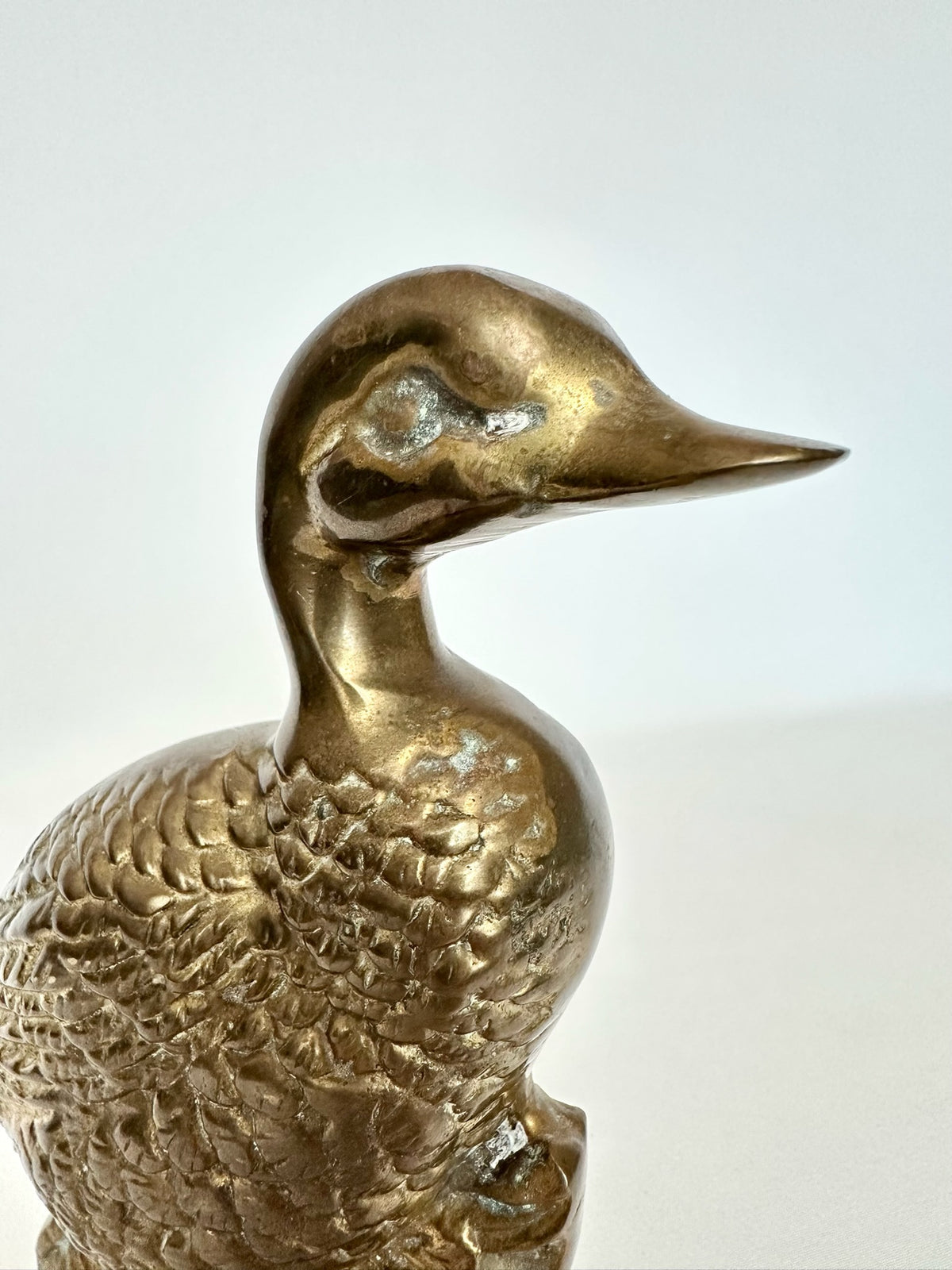 Irving Brass Duck
