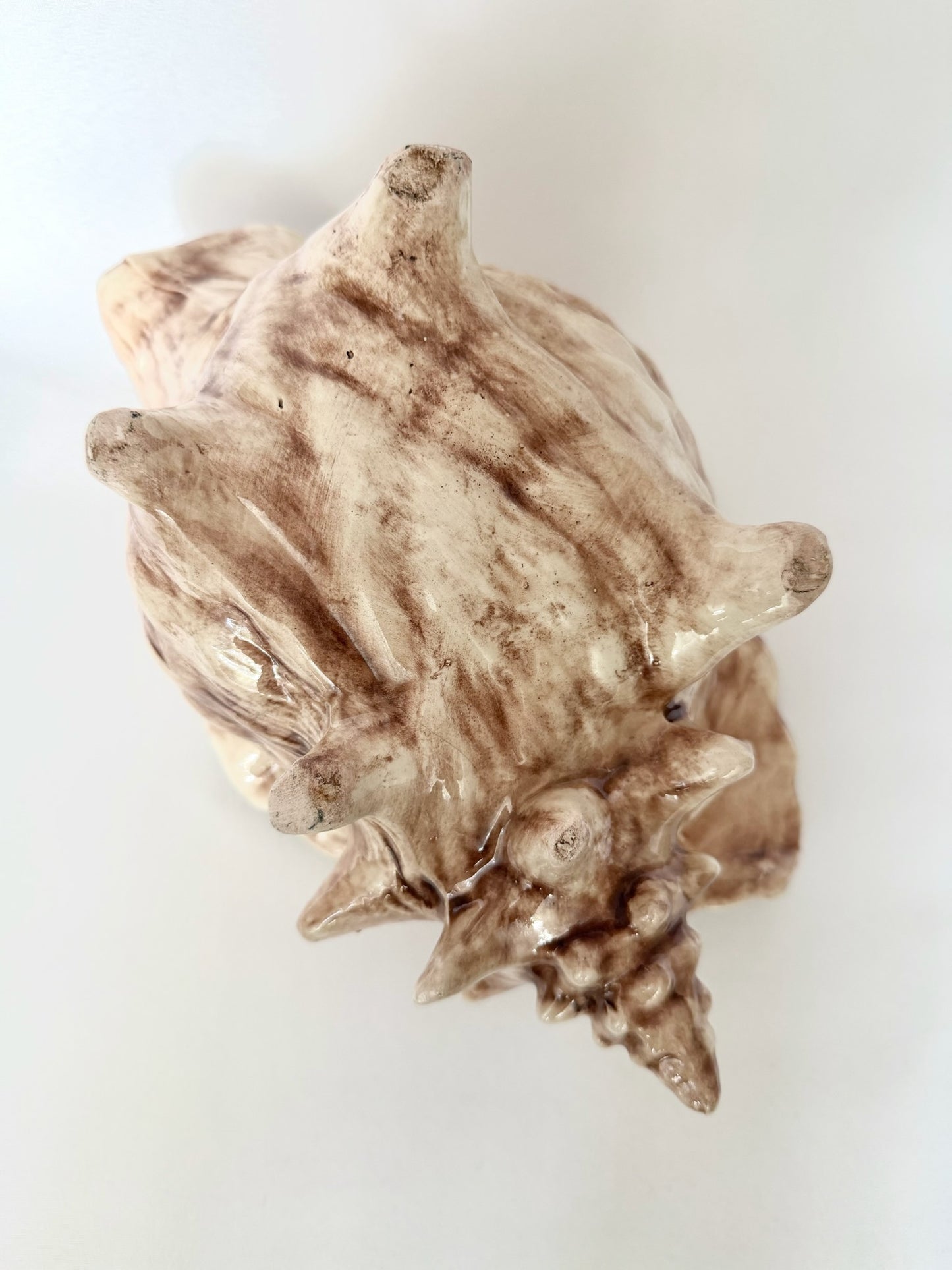 Bahama Conch Planter