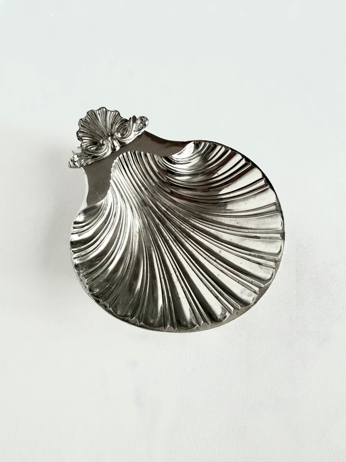 Signature Shell 02