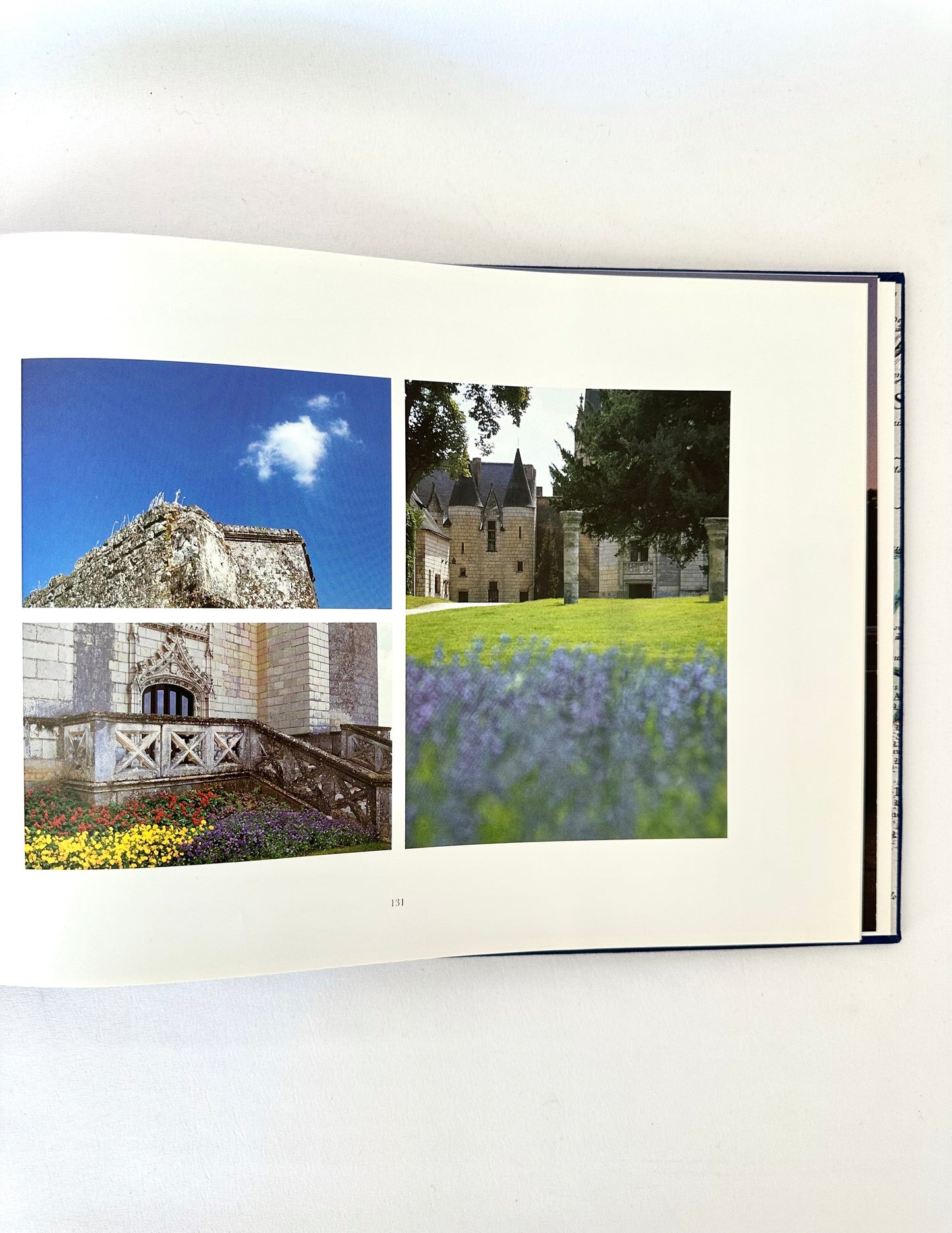 Chateaux of the Loire Book