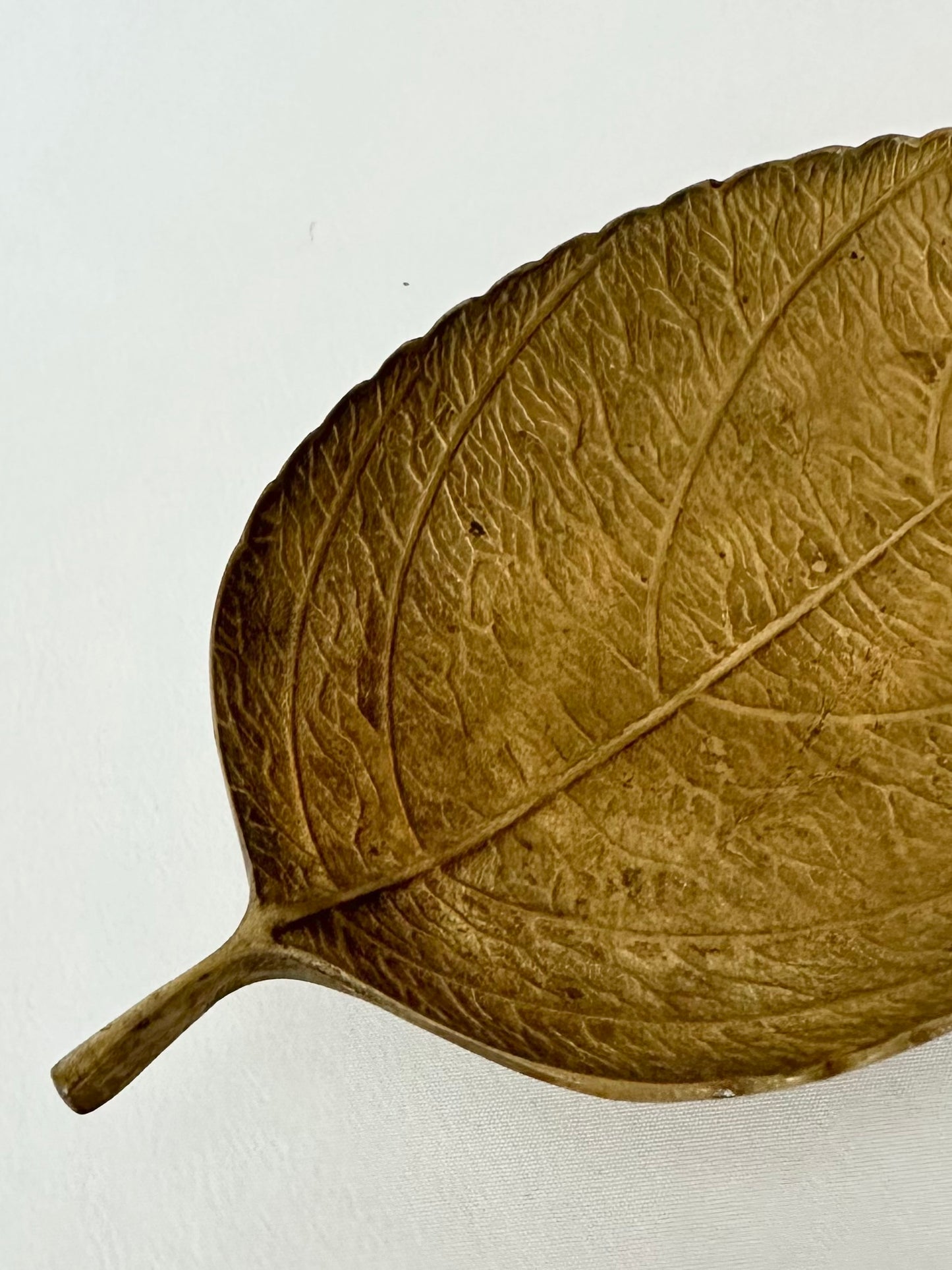 Foliage Dish