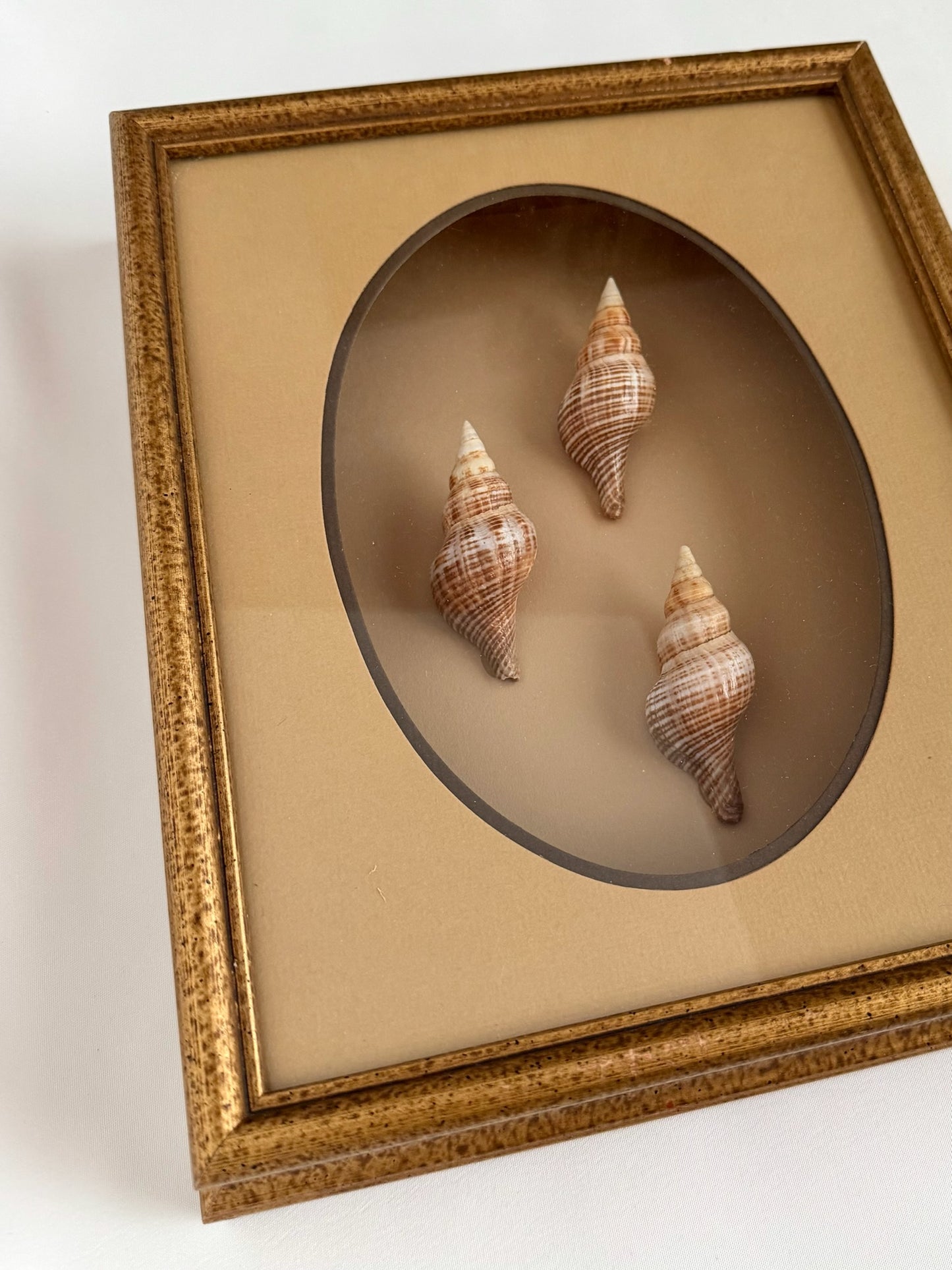 Boca Shadow Box