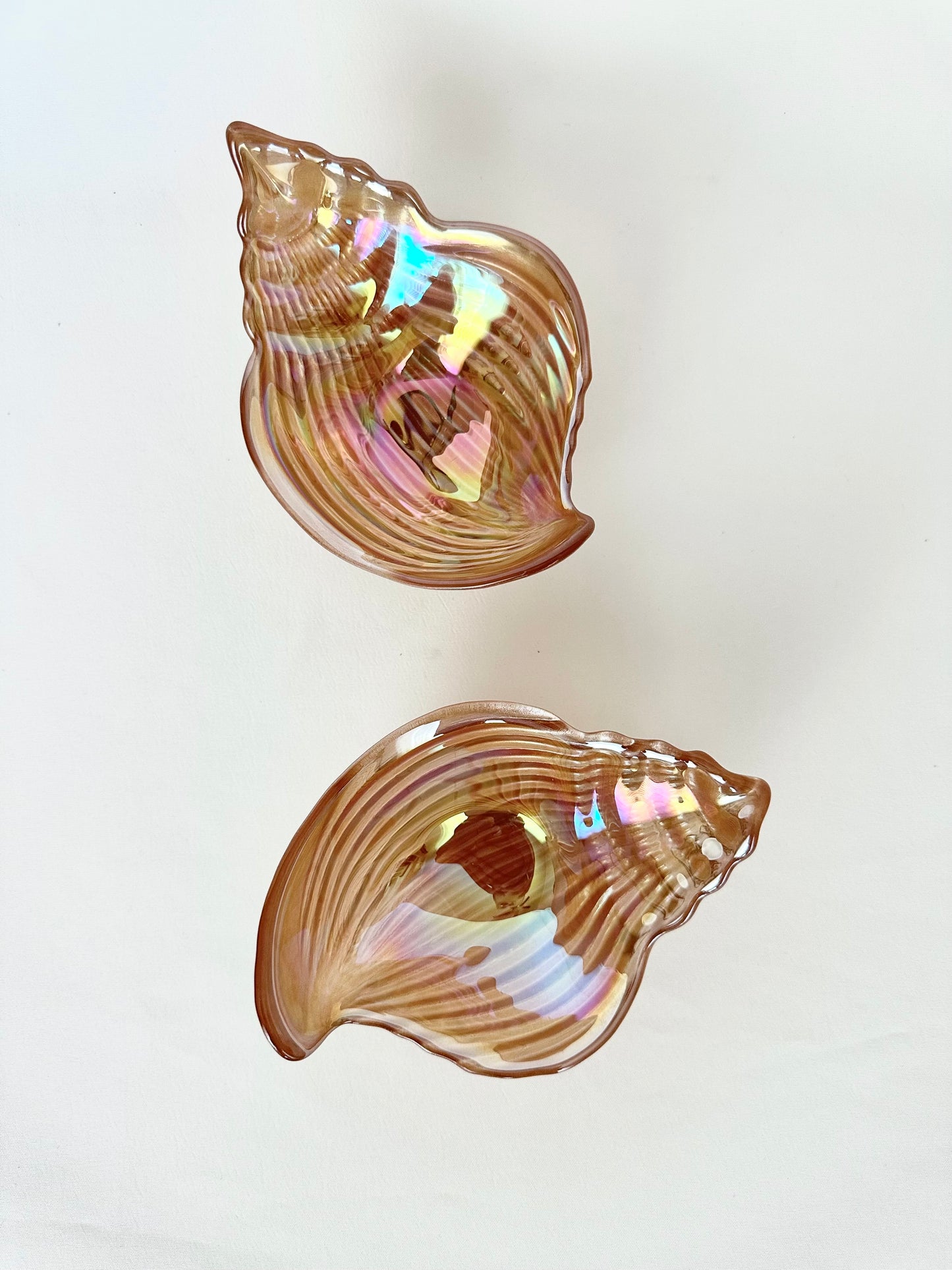 Pearl Conch Shell Dishes