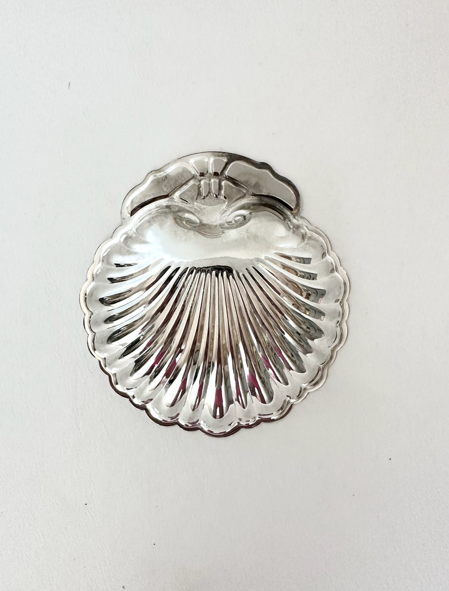 Signature Shell 09
