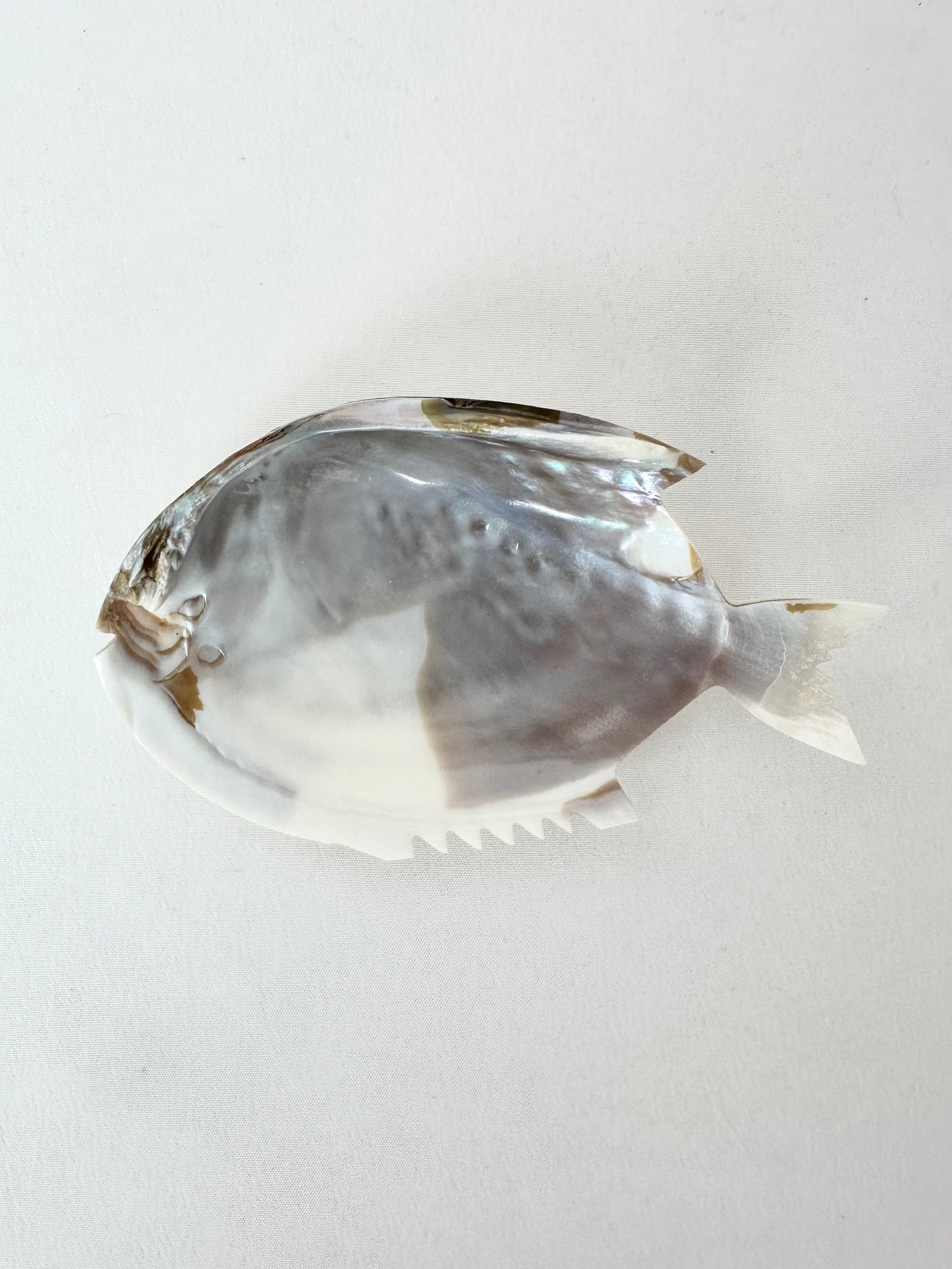 Sanibel Trinket Dish Pair