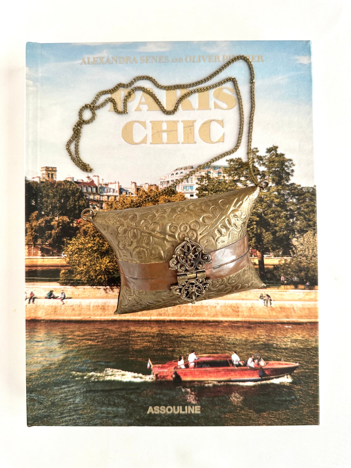 Stevie Brass Pillow Purse