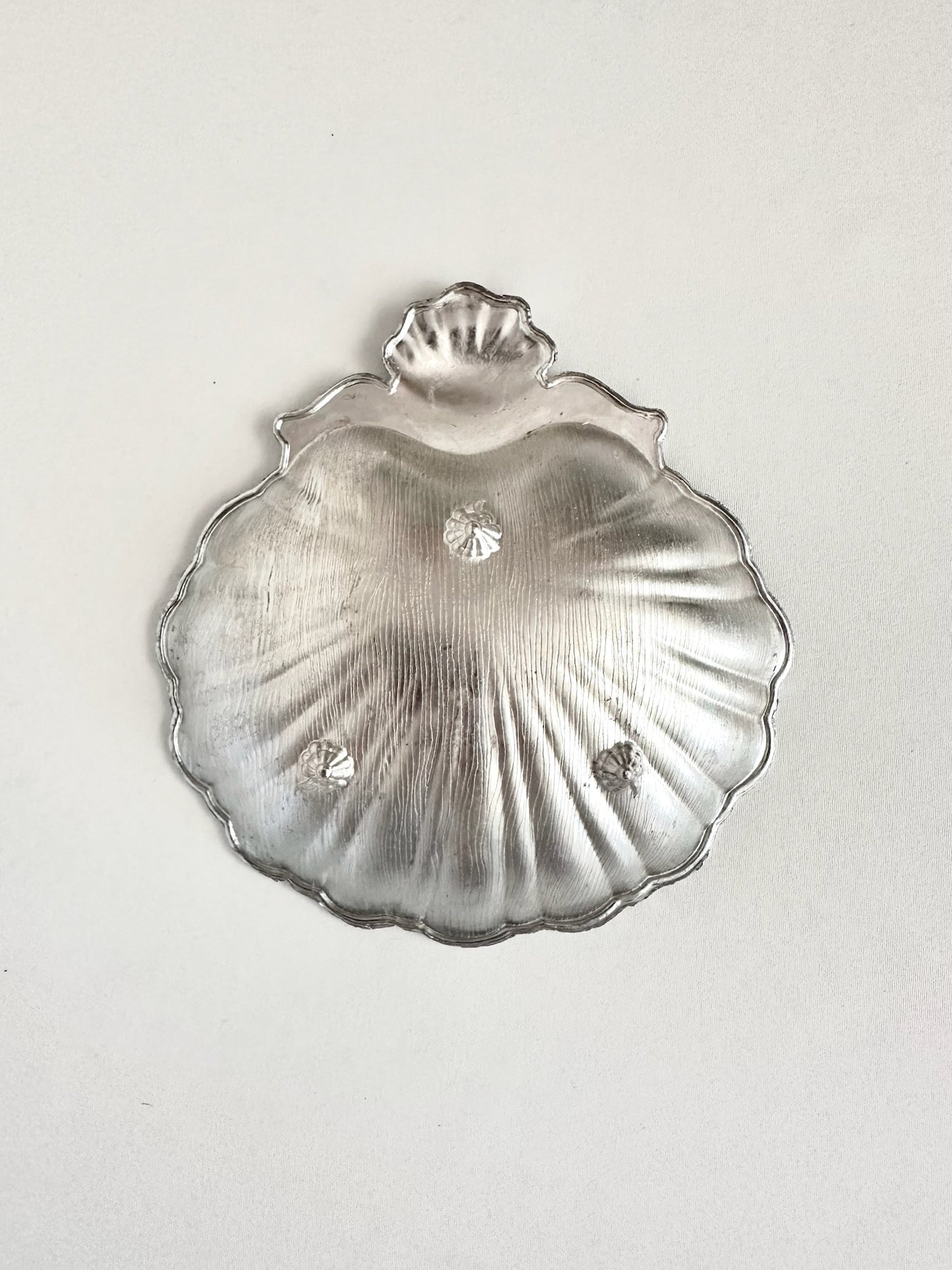 Signature Shell 08