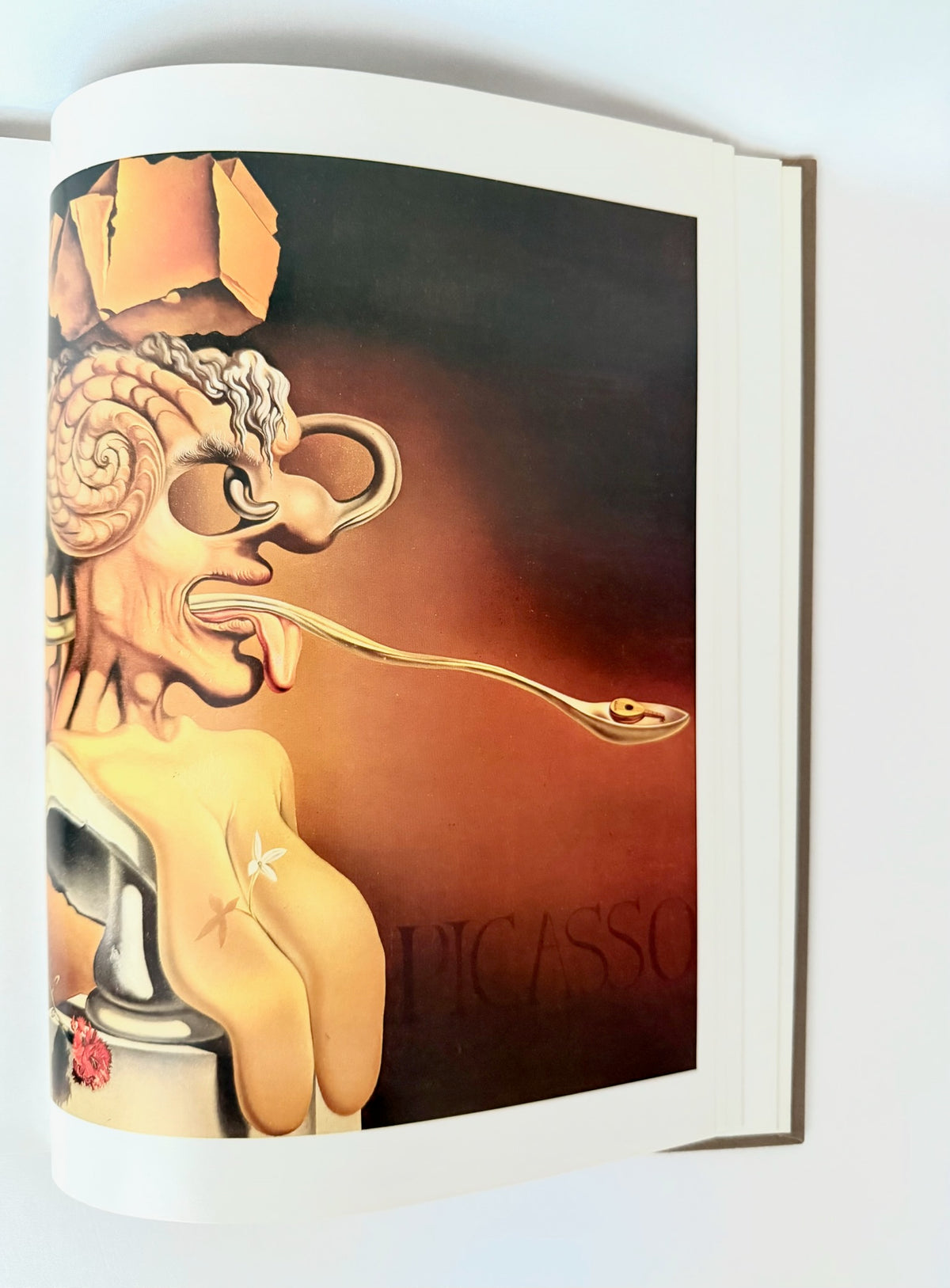 Dali Book