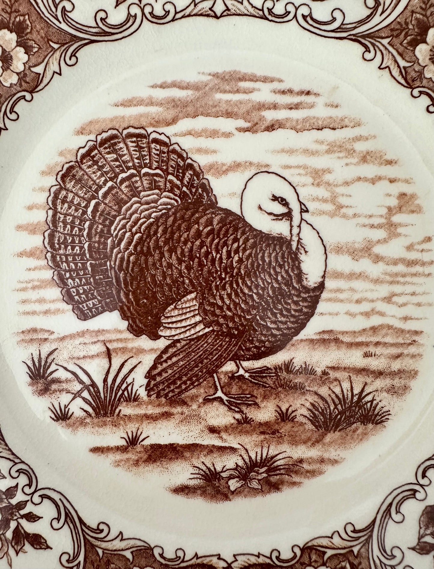 Sawyer Turkey Dinner Plates